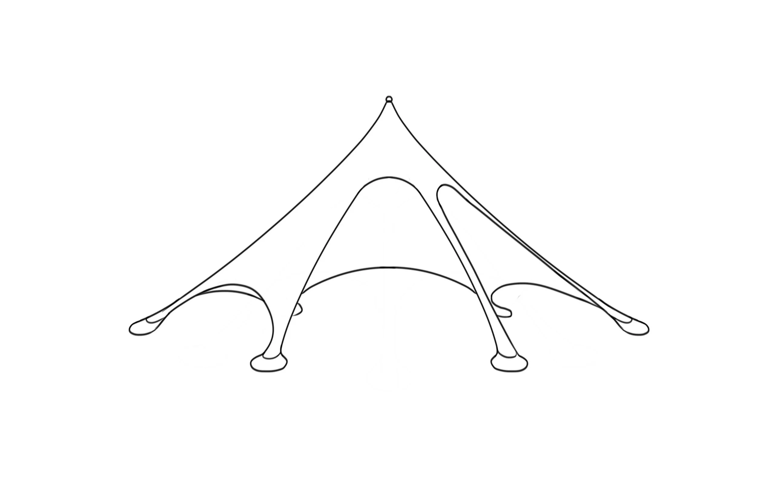 Black-and-white anatomical illustration of a frog skeleton viewed from below, showing its limbs and webbed feet.
