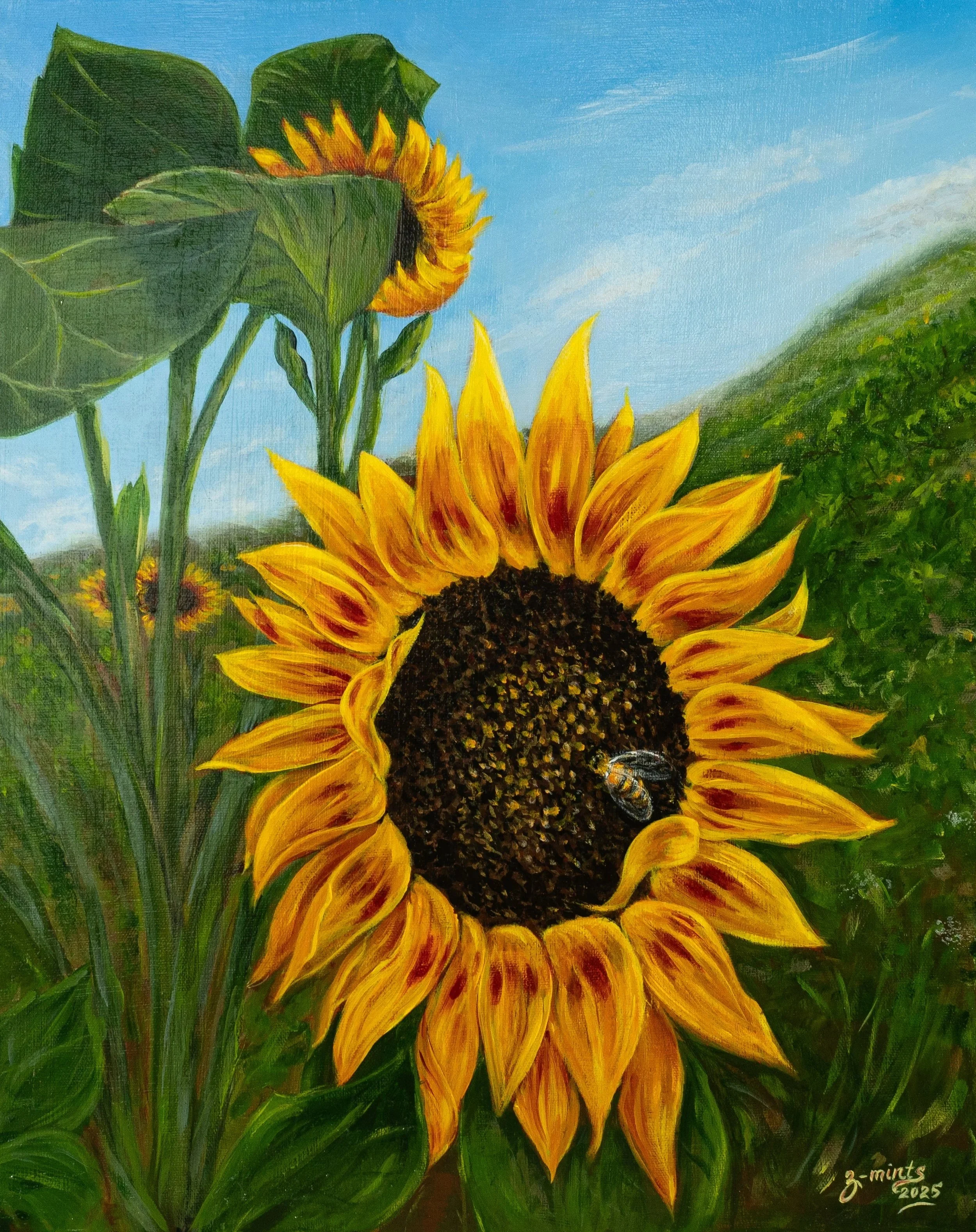Sunflower in the Vineyard (Sonoma) |
Acrylics on canvas |
16" x 20"