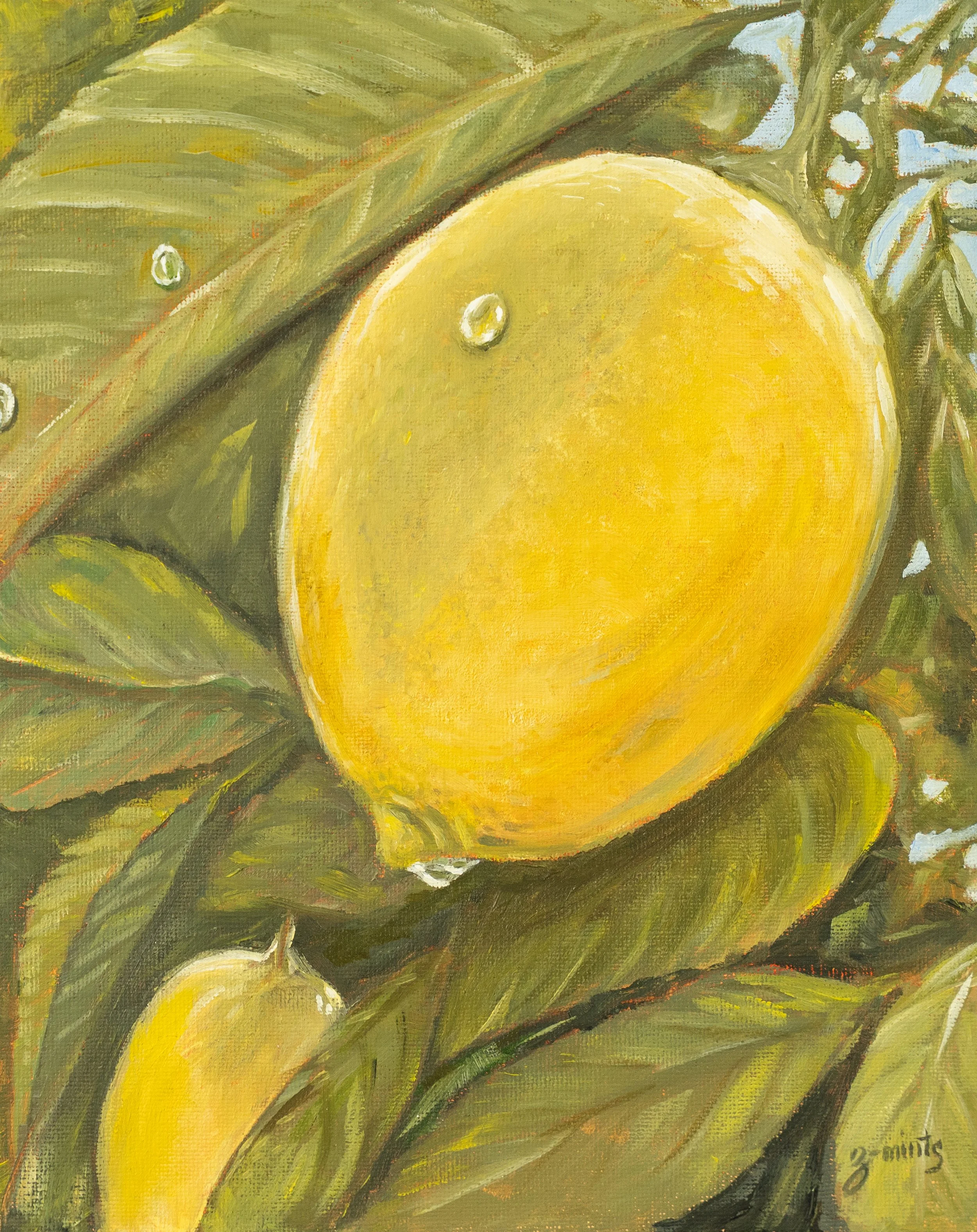 Lemon drops | Oils on canvas board | 8" x 10"