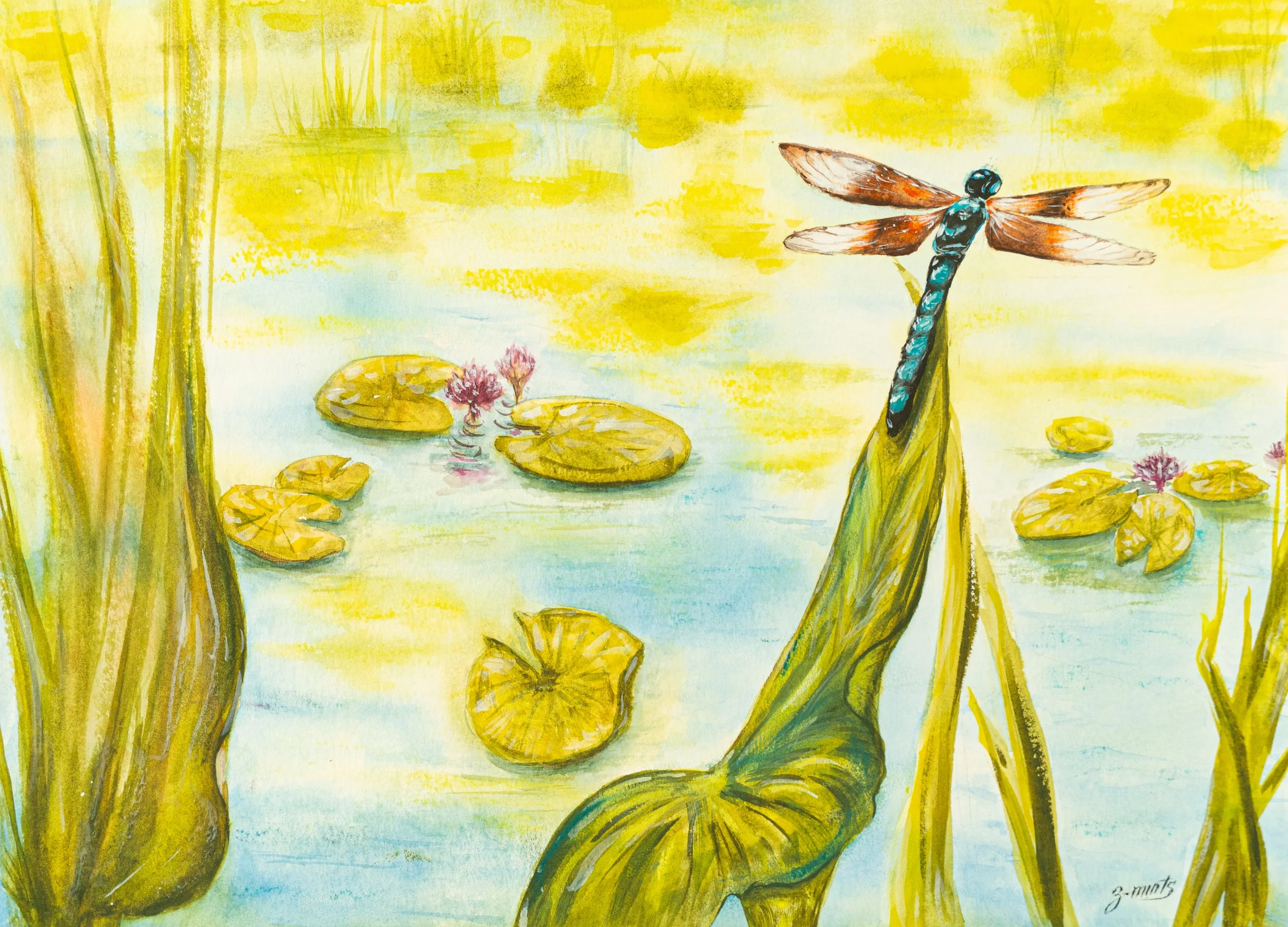 Dragonfly | watercolor and soft pastels