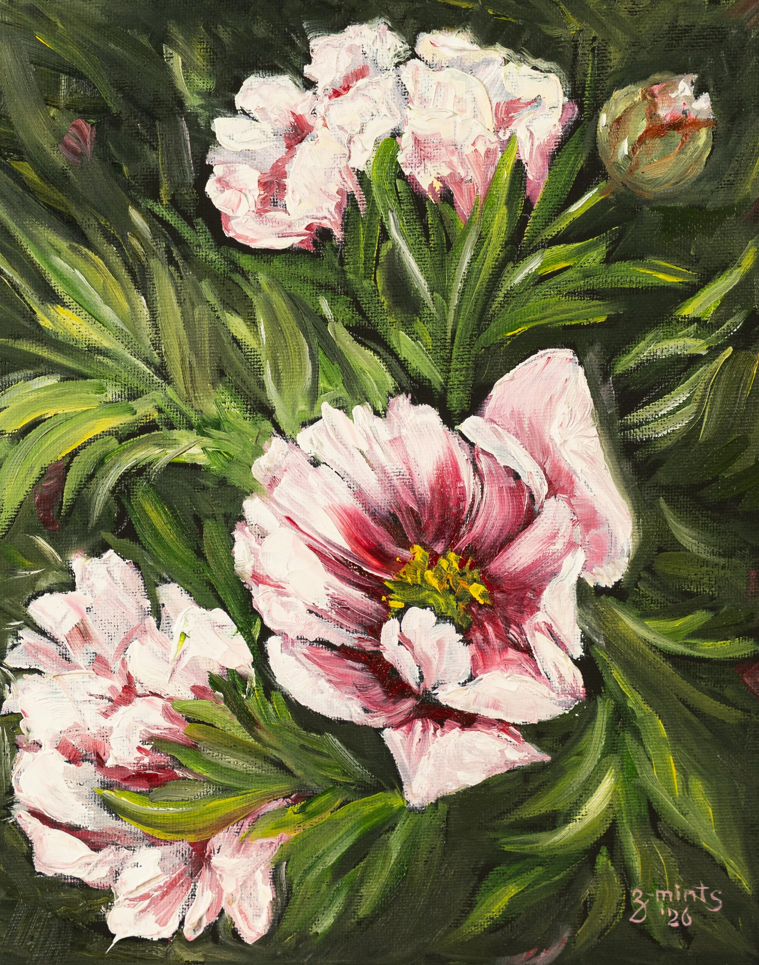 Peonies | Oils on canvas board | 8" x 10"