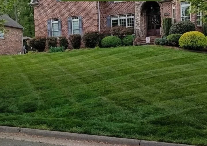 Checkered pattern lawn and landscape design in Lewisville, nc by H and H Company LLCLawn Care in Lewsisville, NC