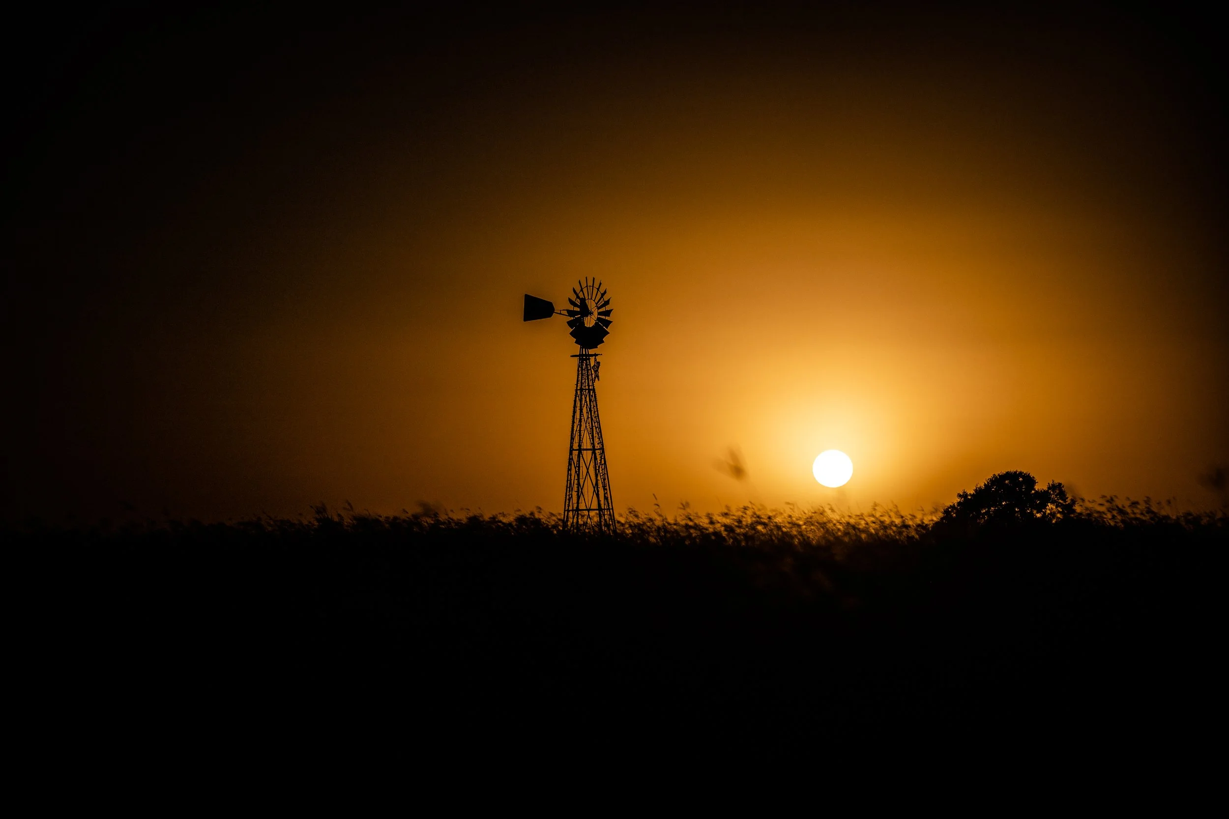 watervien.kingford.texas.jpg
