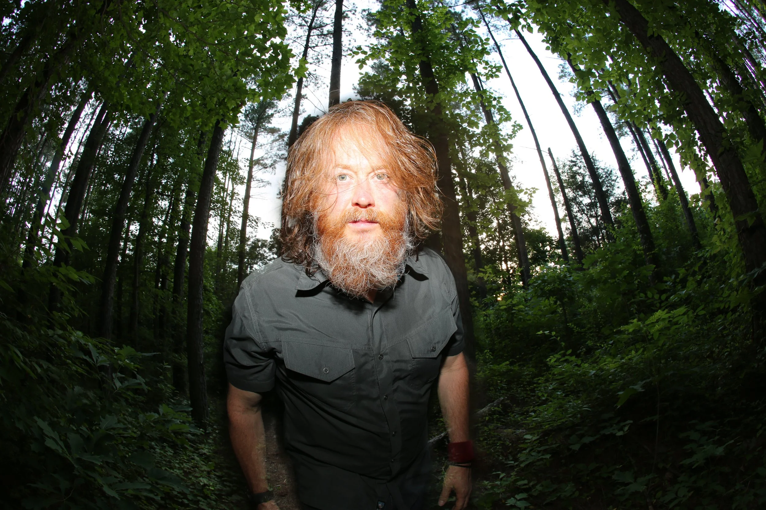 danny_woods_2016.jpg