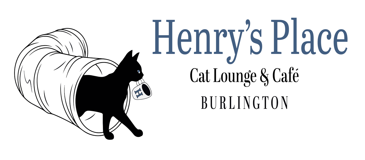 Henry's Place | Cat Lounge and Café