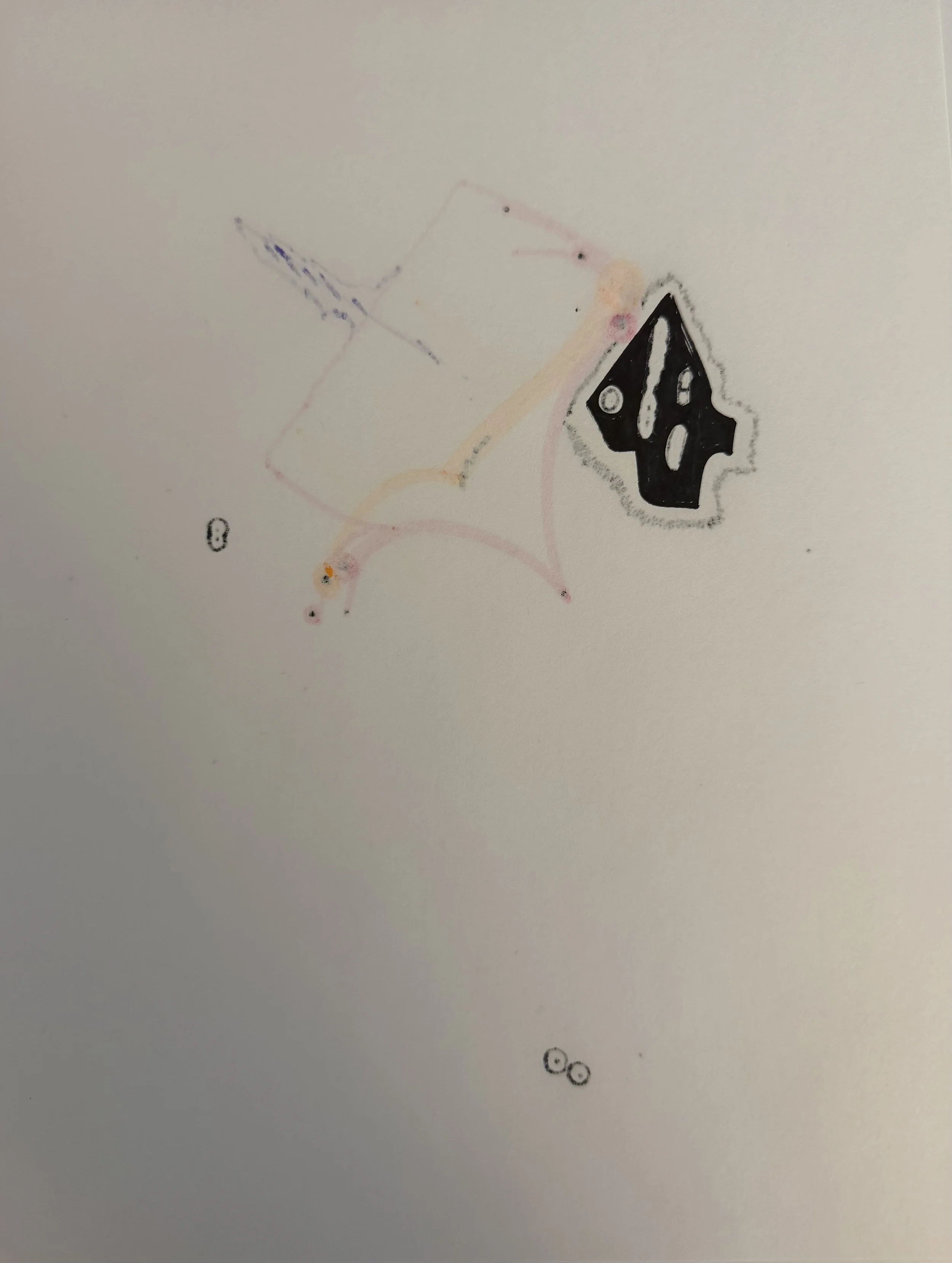 IMG_6310.jpeg