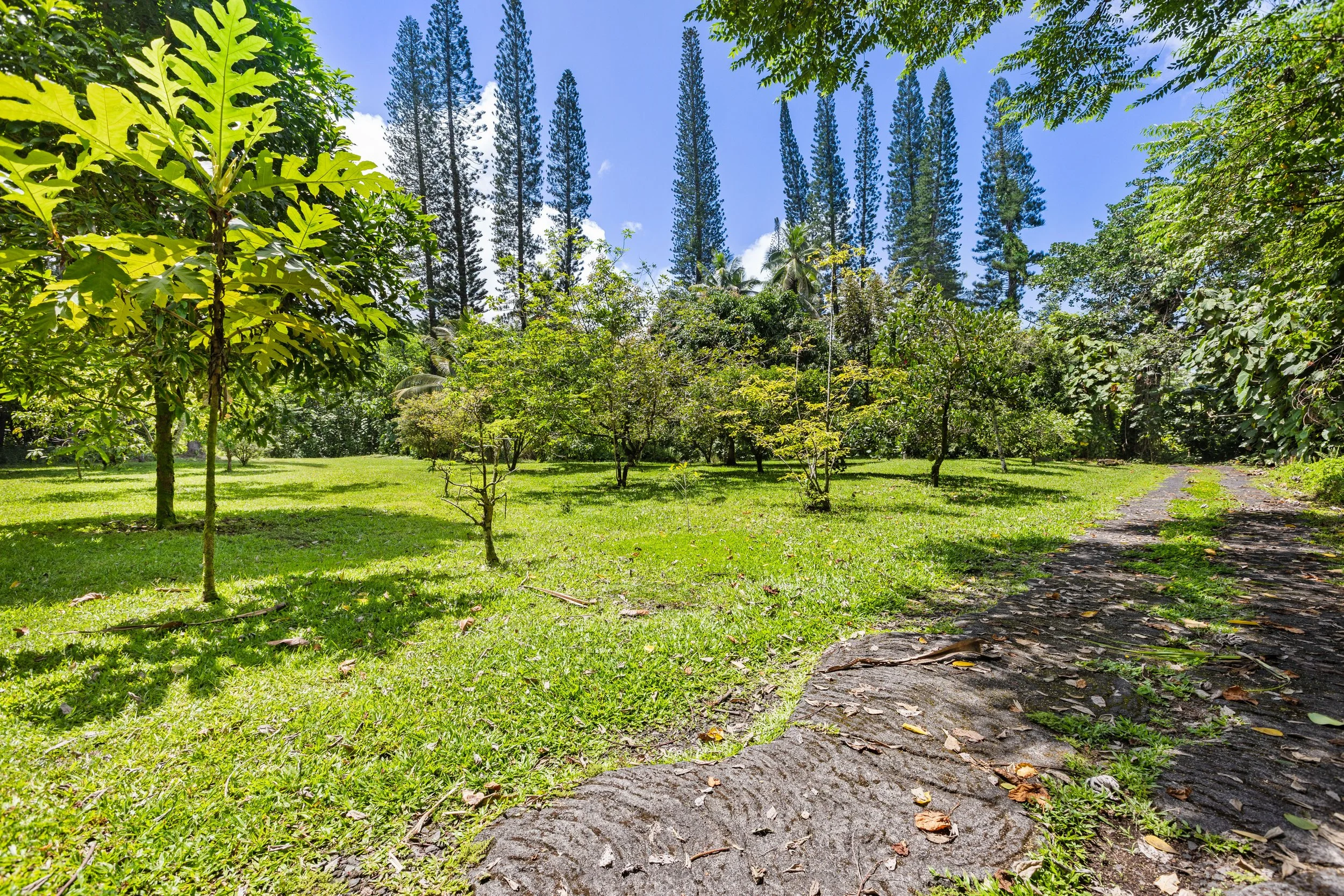 C04A1161.jpg