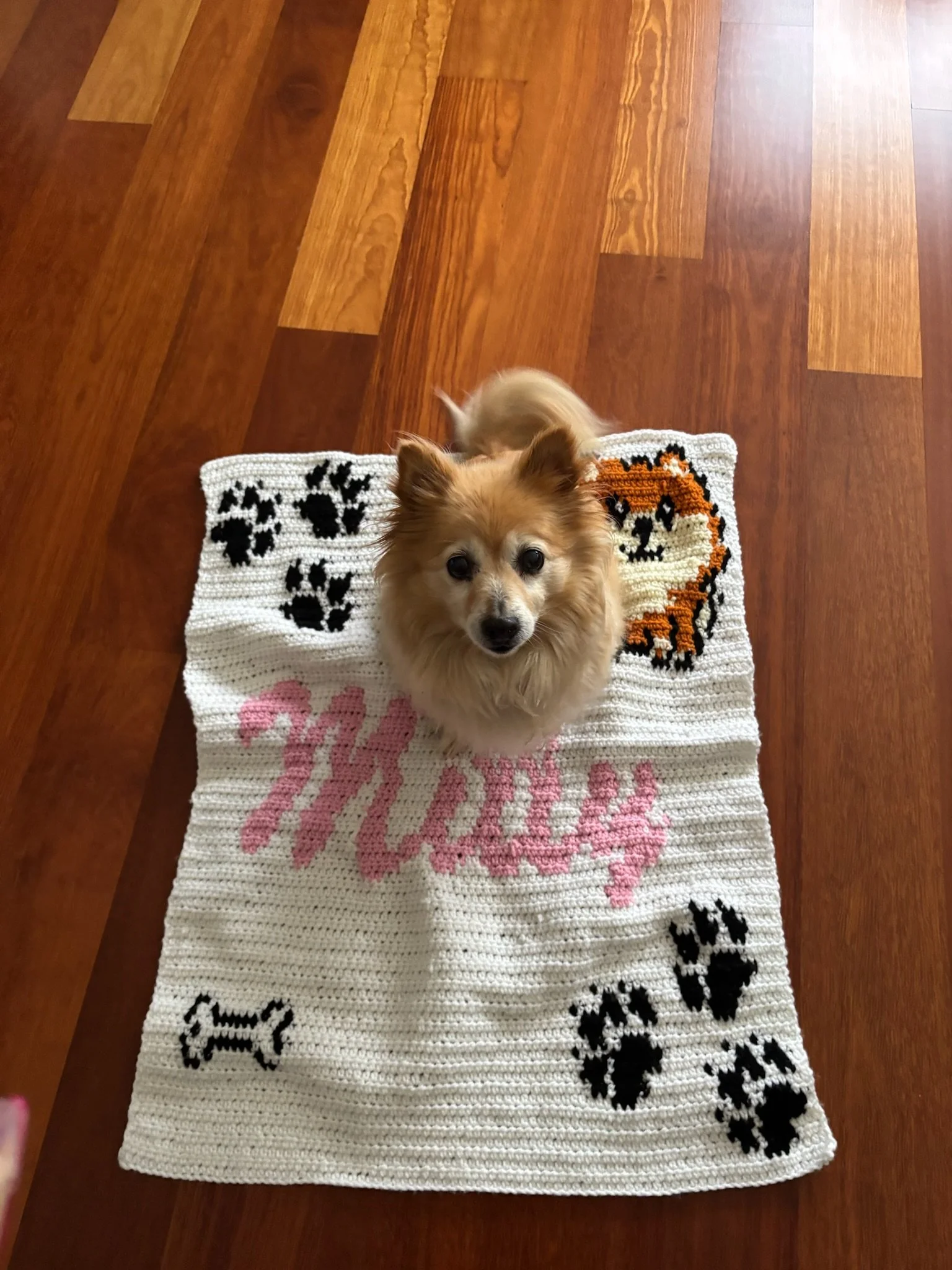 Personalised Dog Blanket