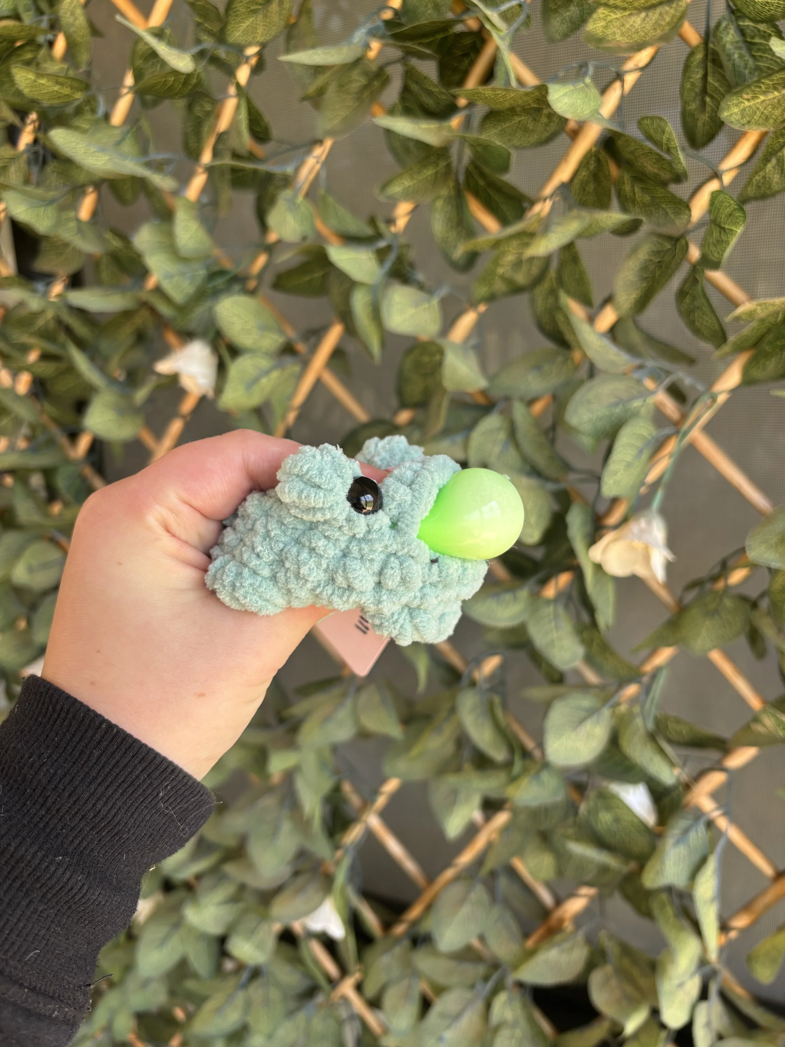 A person's hand holding a plush toy frog with a green plastic ball in its mouth, in front of a lattice covered with green leaves.