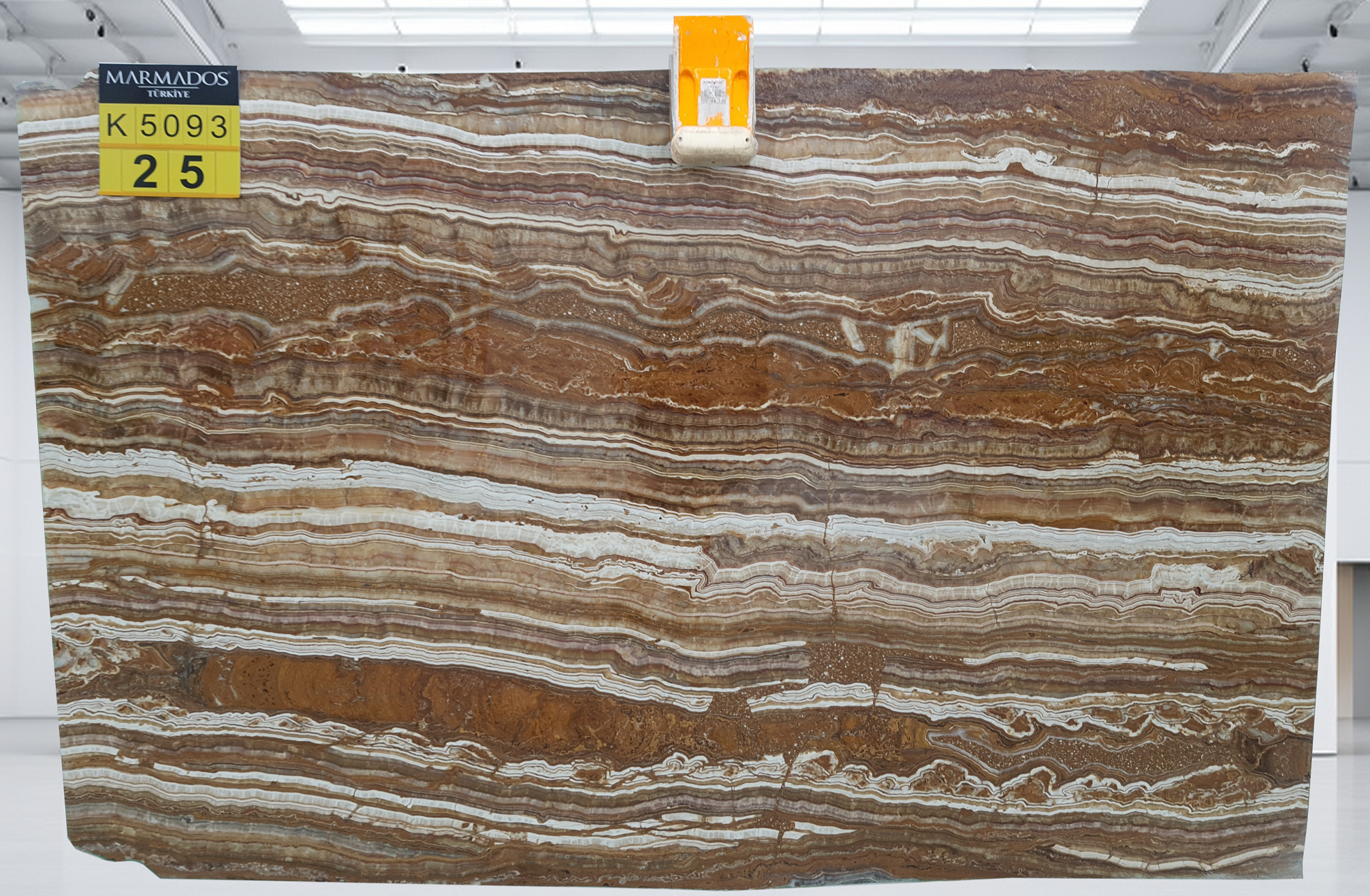 Tiger Asena Onyx