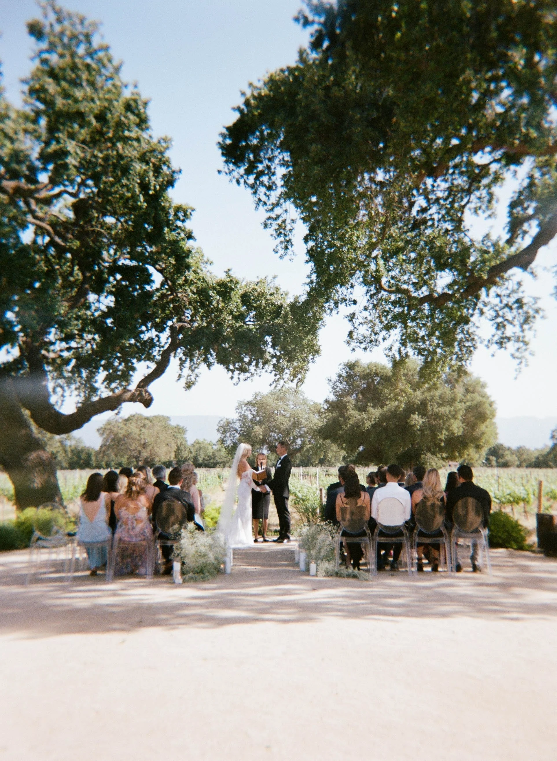Elle &amp; JP | Santa Ynez, California Roblar Winery Wedding