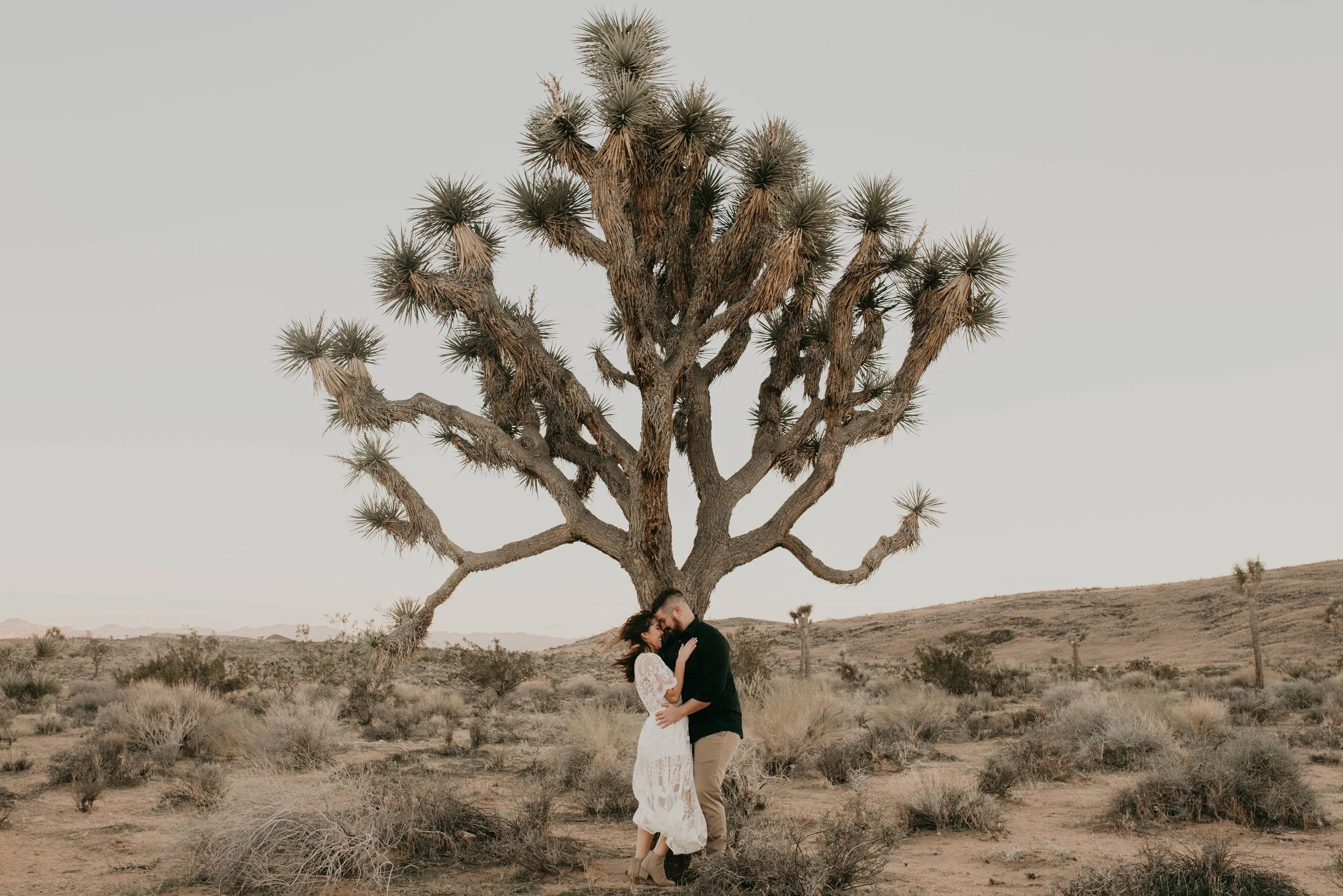 Jenny &amp; Joey | Joshua Tree, California Engagement Pt. 2