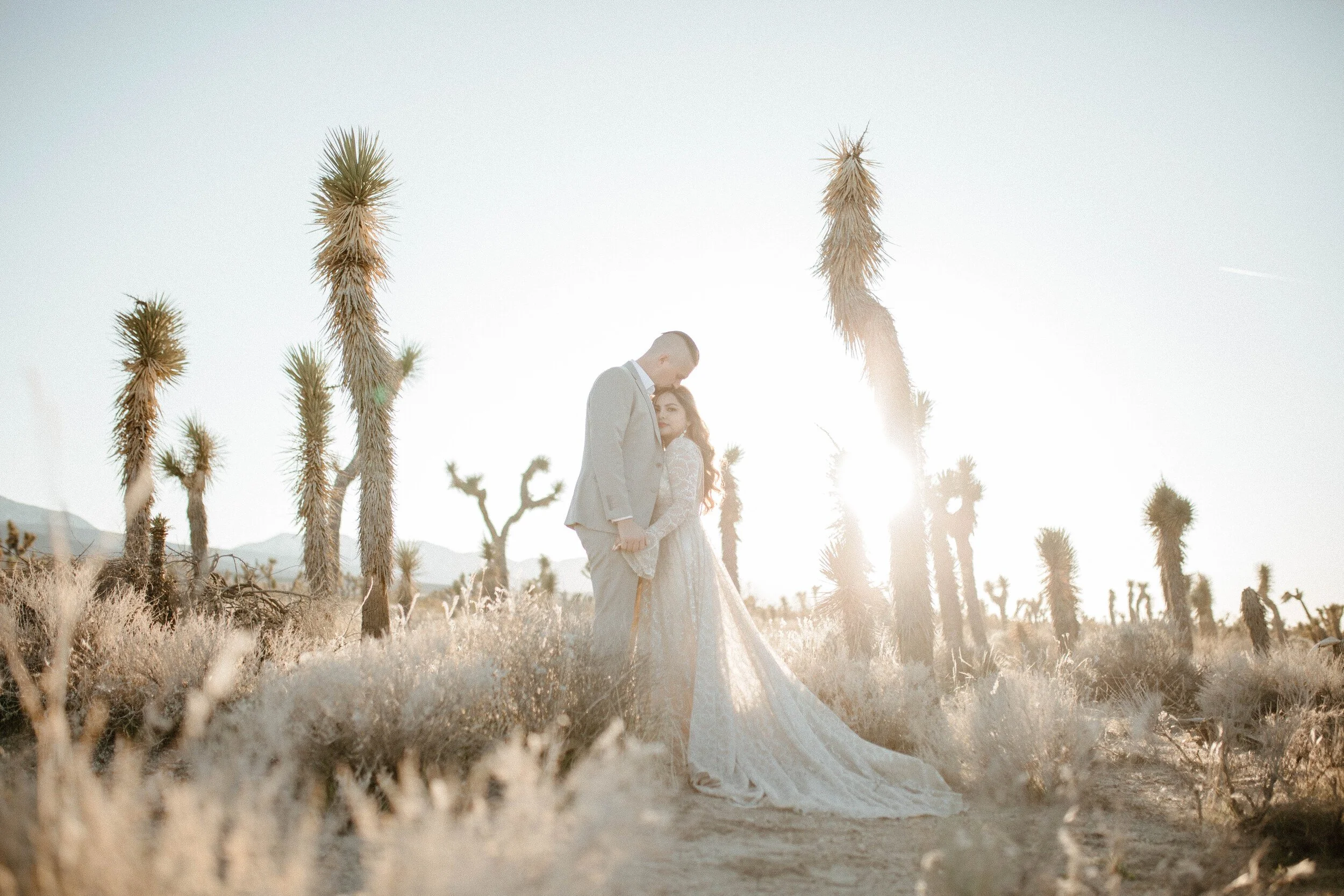 Maria &amp; Phil | Joshua Tree, California Golden Elopement