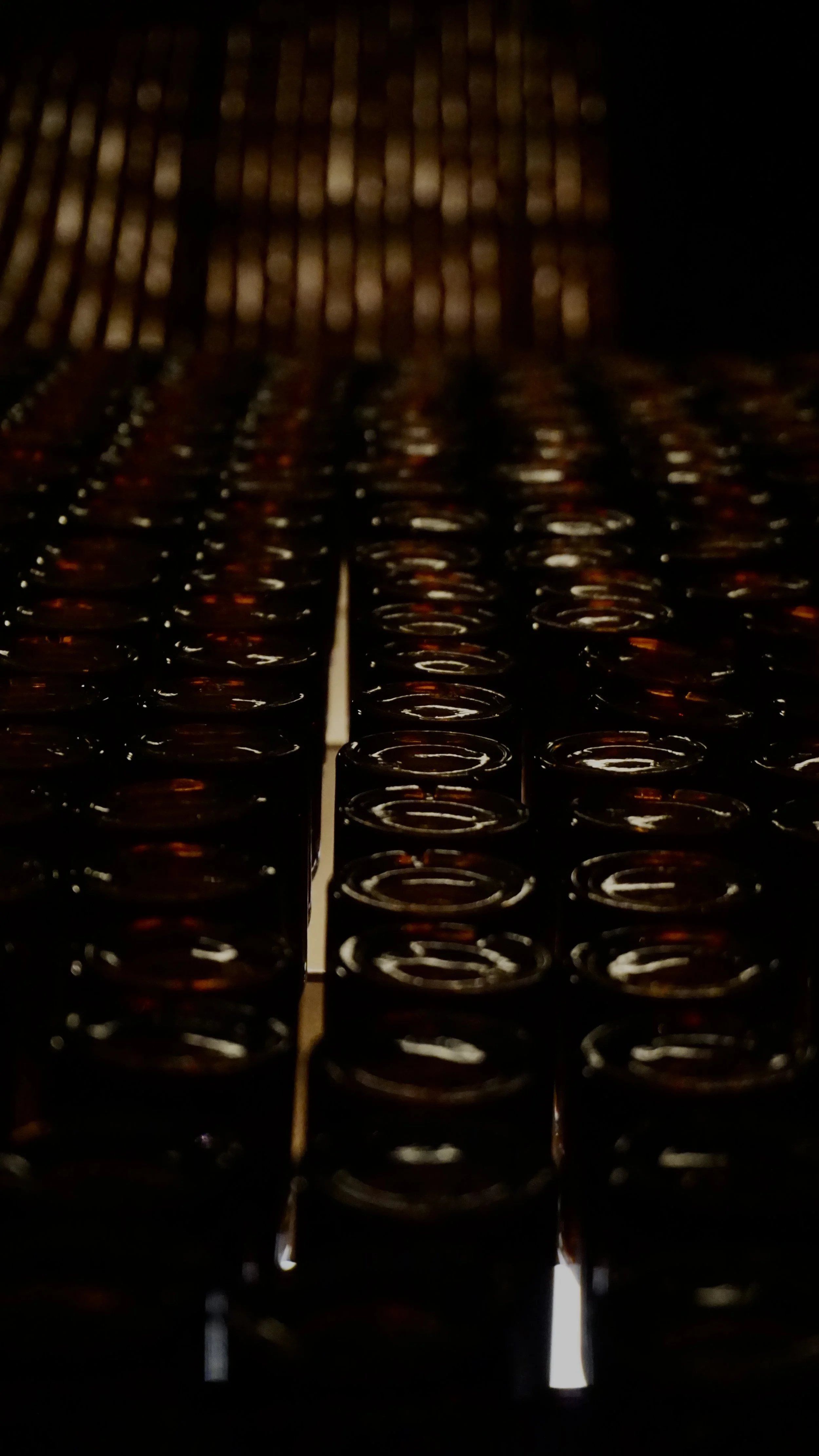 Close-up of organized black cylindrical rolls of film or tape in a display case, with reflections on their shiny surfaces.
