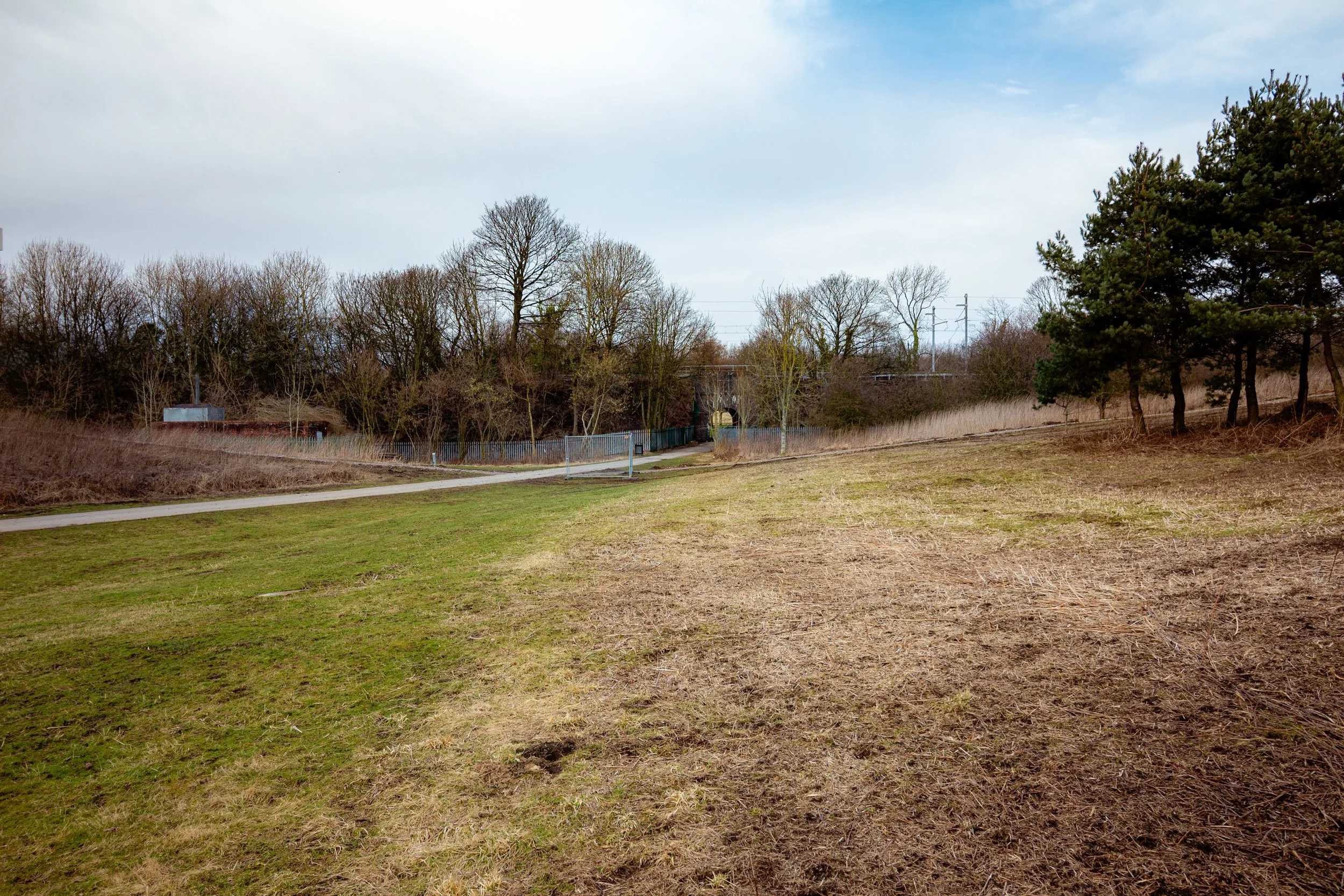 A landscape view of a park with a mix of leafless and evergreen trees, a grassy area, and a sidewalk path, under cloudy sky.