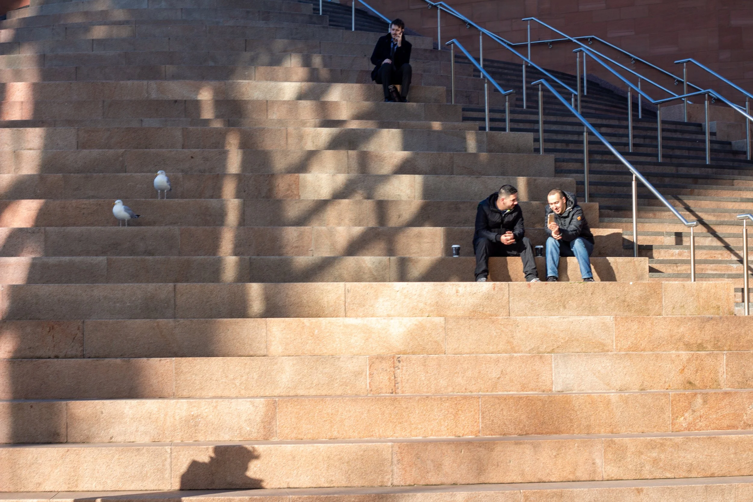 Three men sitting on large stone steps outdoors, two of them engaging in conversation and one sitting alone speaking on a phone, with two seagulls standing on the steps nearby.