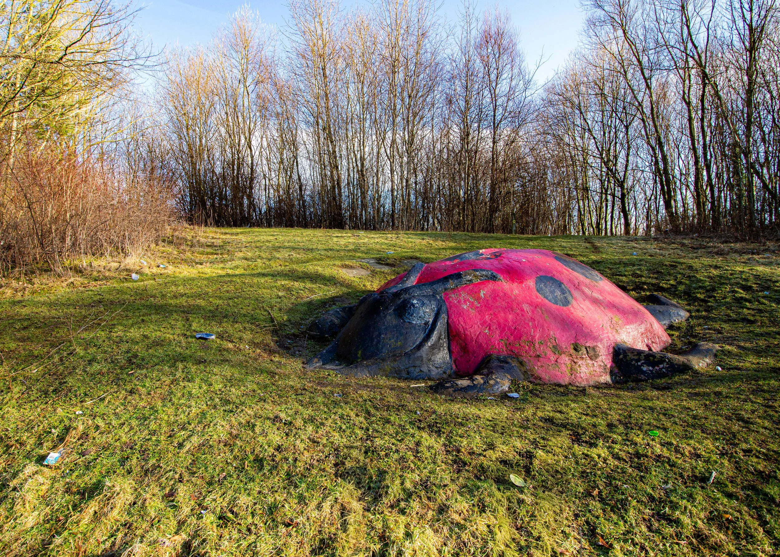 A discarded, deflated red and black inflatable object on a grassy outdoor area with a line of leafless trees in the background.
