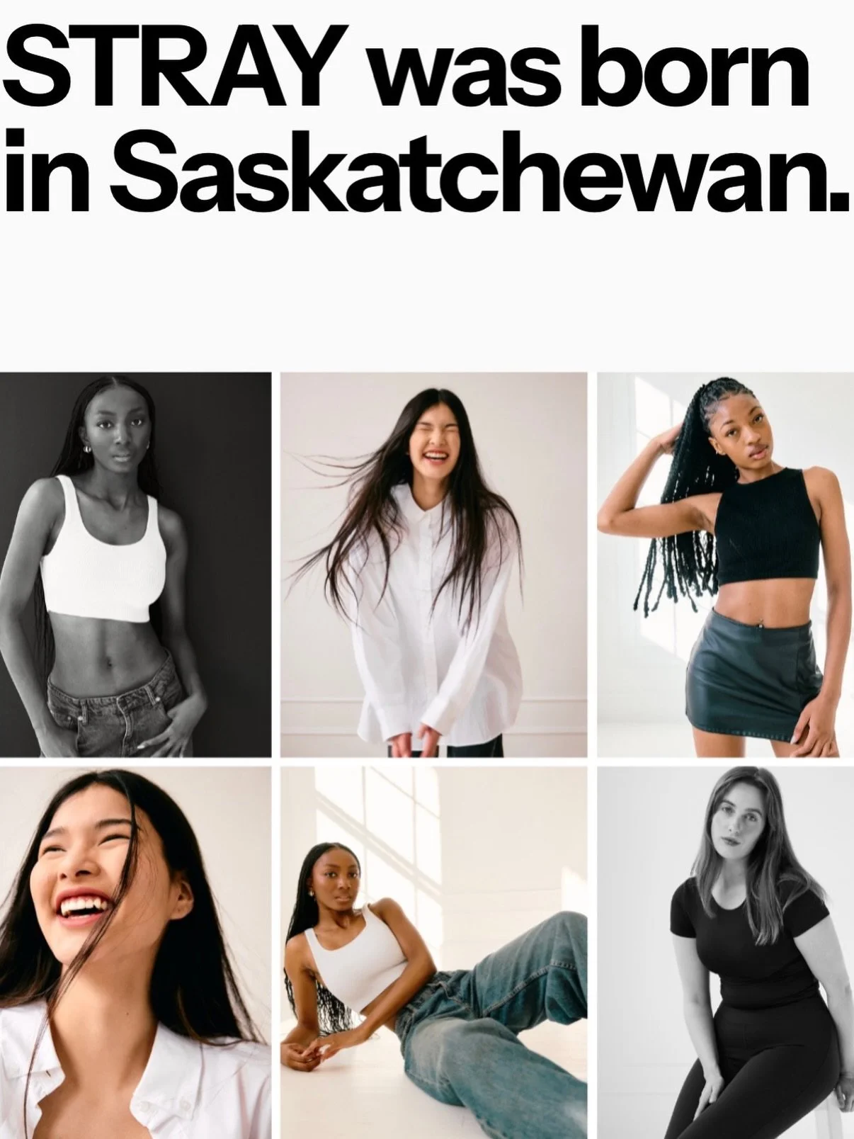 STRAY SK is now online.

Meet our talent + explore our creative services.

straysk.ca / link in bio