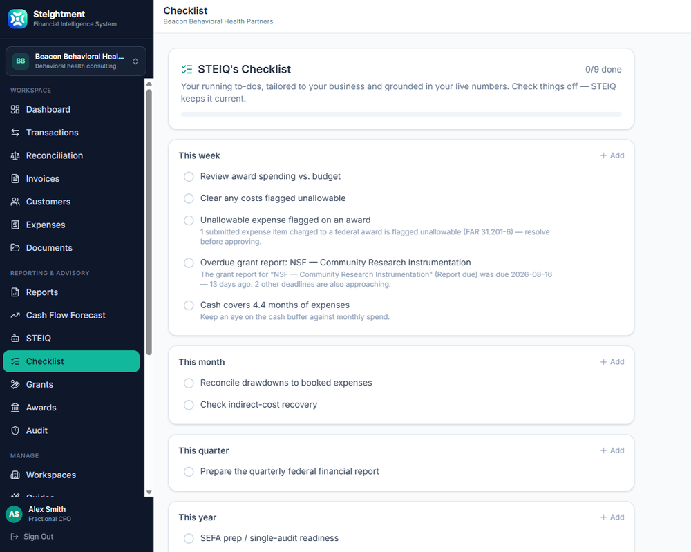 STEIQ financial checklist showing business priorities, control issues, reporting deadlines, and recurring actions organized by week, month, quarter, and year
