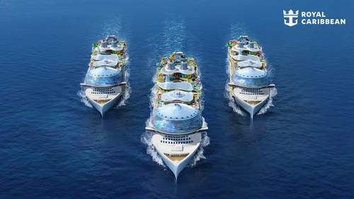 Cruise ships sailing at sea