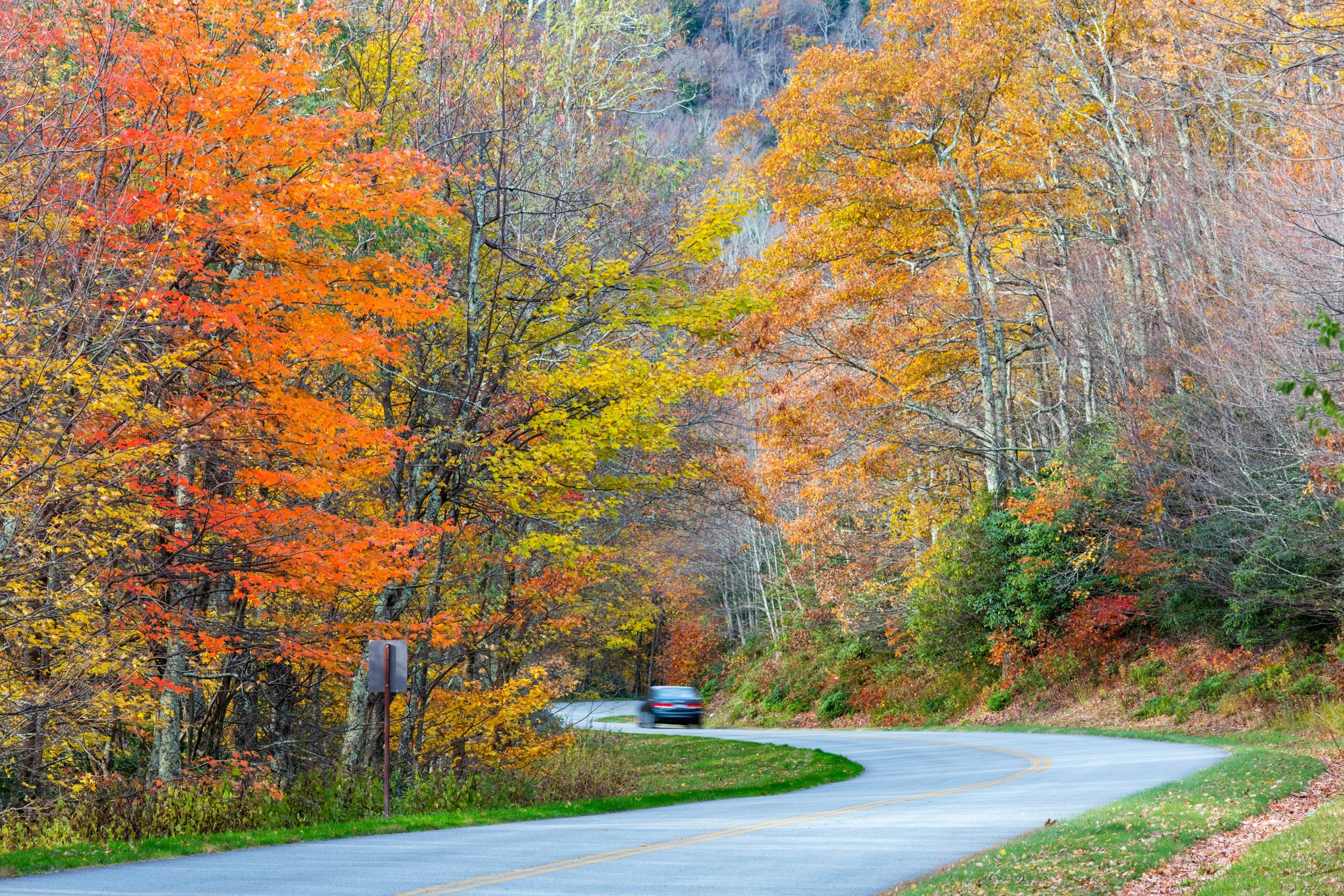Best of Boone | Boone North Carolina City Guide