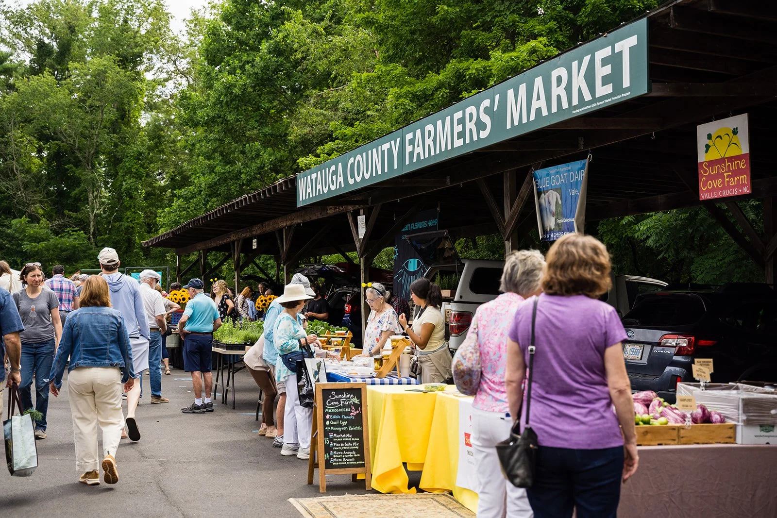Farmers’ Markets &amp; U-Pick Farms in Boone