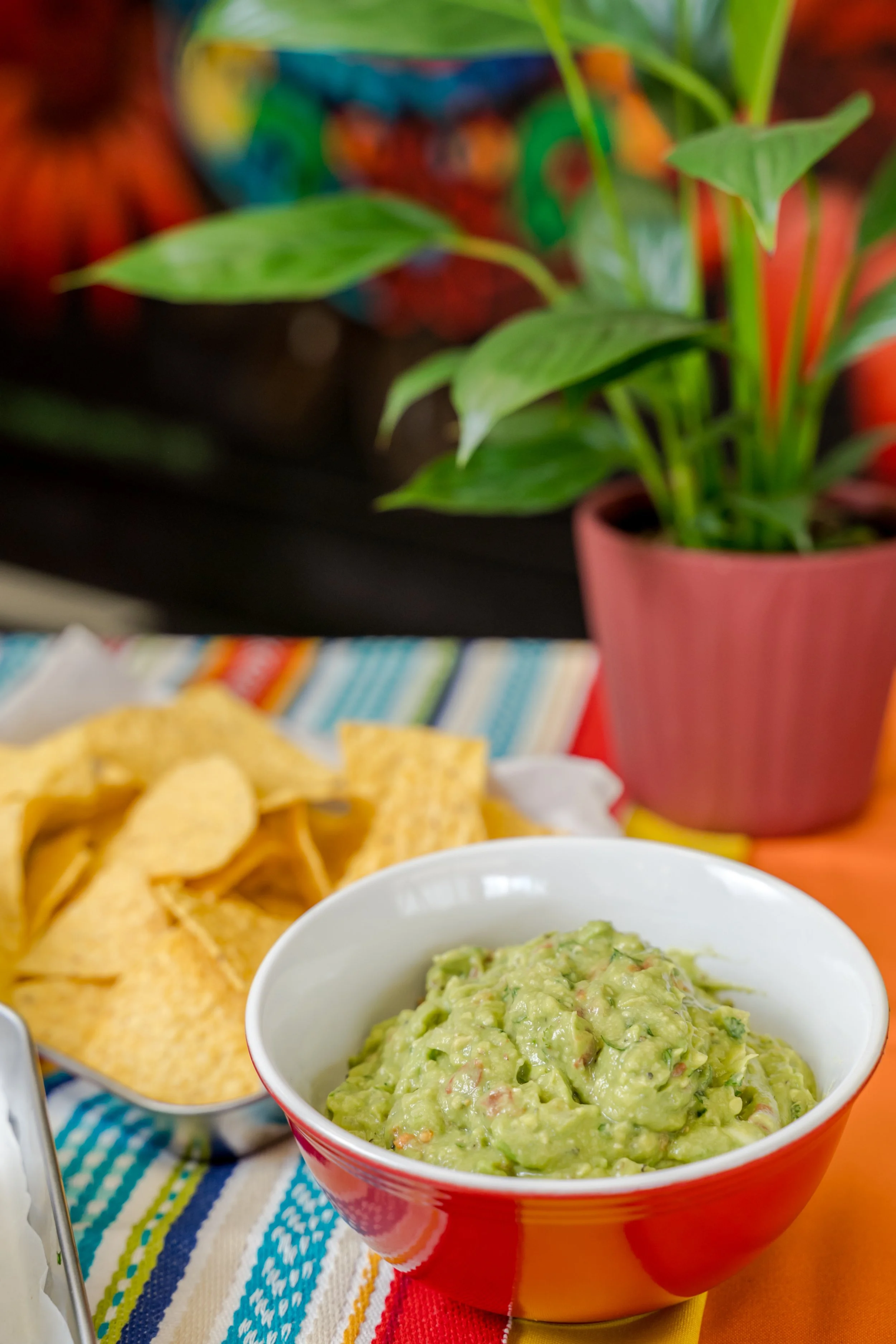 Tacoba-Boone-1048.jpg