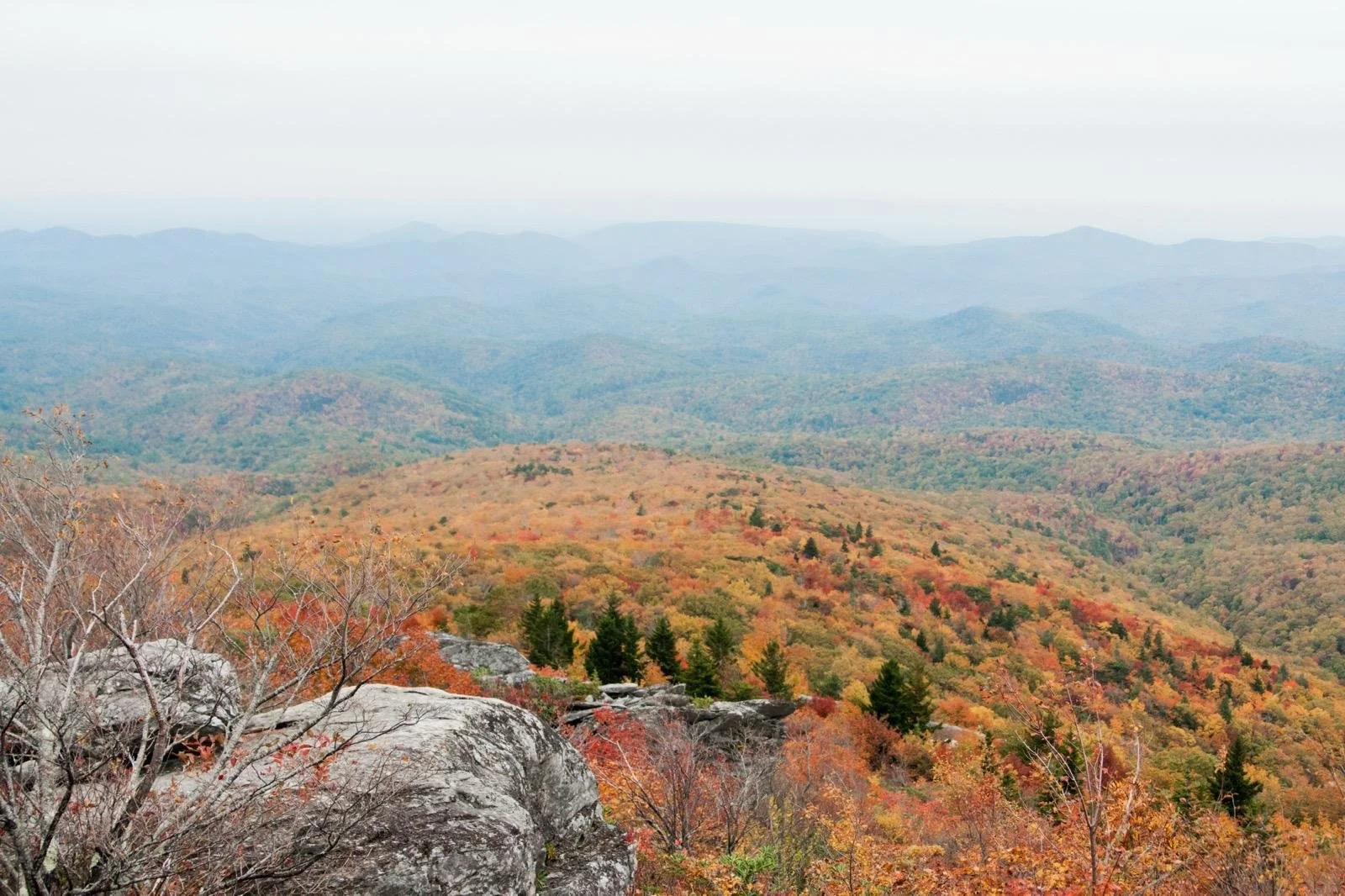 When to See Peak Fall Colors in Boone &amp; Along the Blue Ridge Parkway