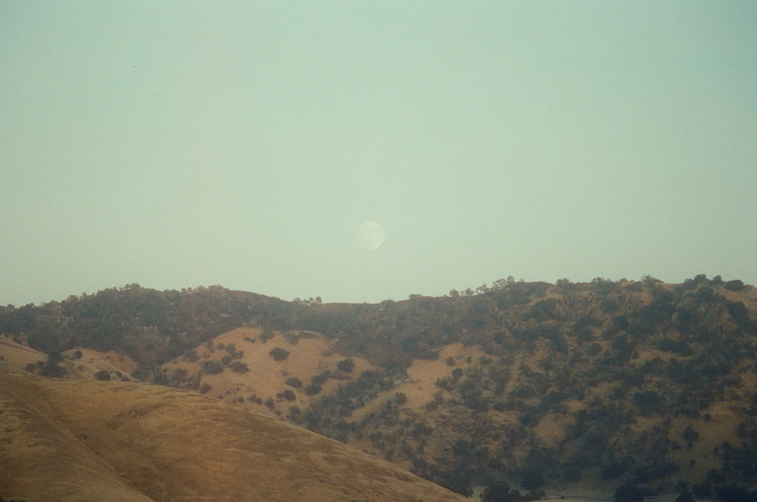 000055030025 (1).jpg