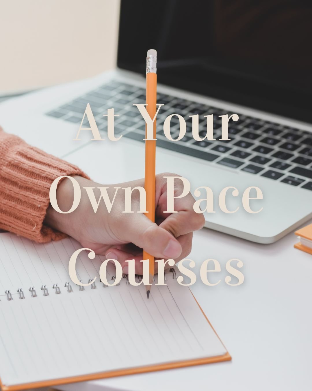 an wellness entrepeneur doing homework from the online course