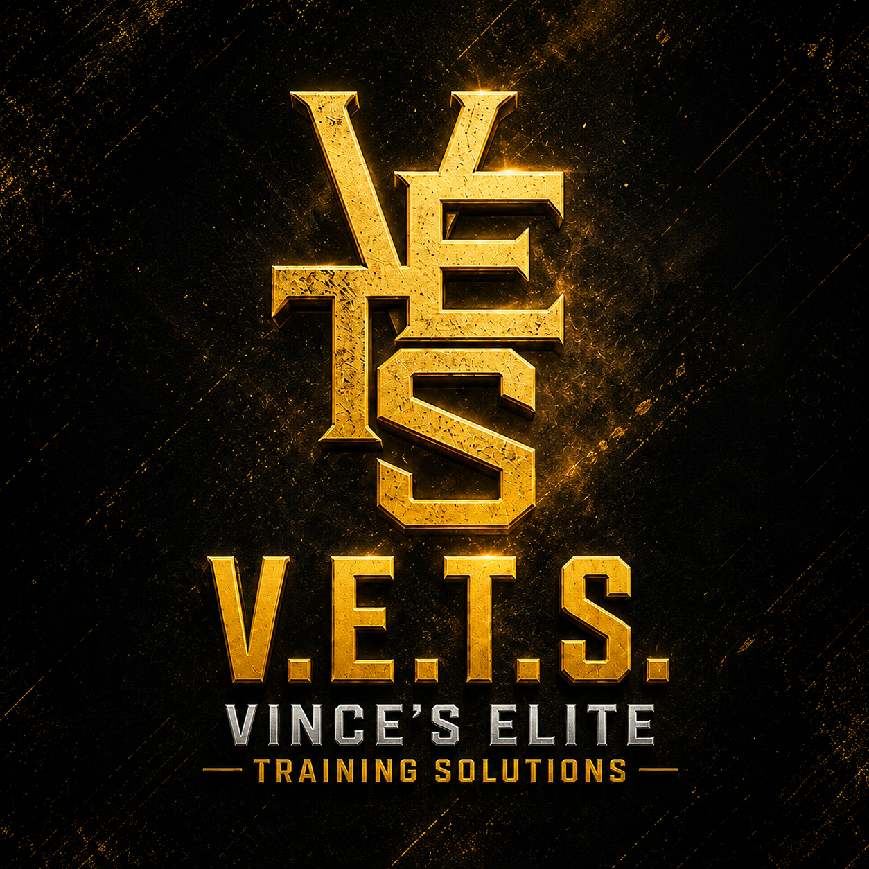 V.E.T.S. &mdash; Vince Elite Training Solutions
