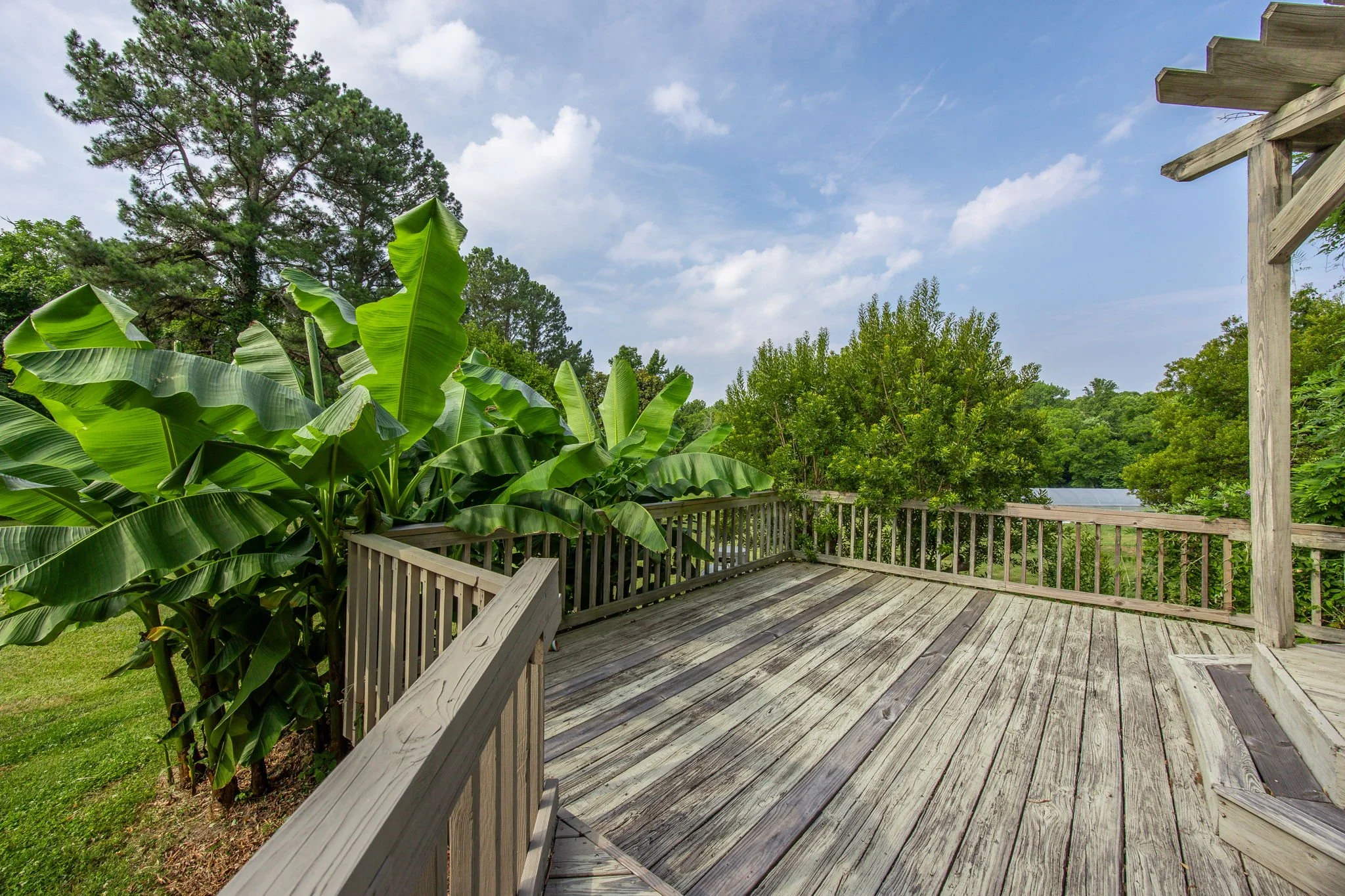 A wooden deck with railing surrounded by lush green trees under a partly cloudy sky.