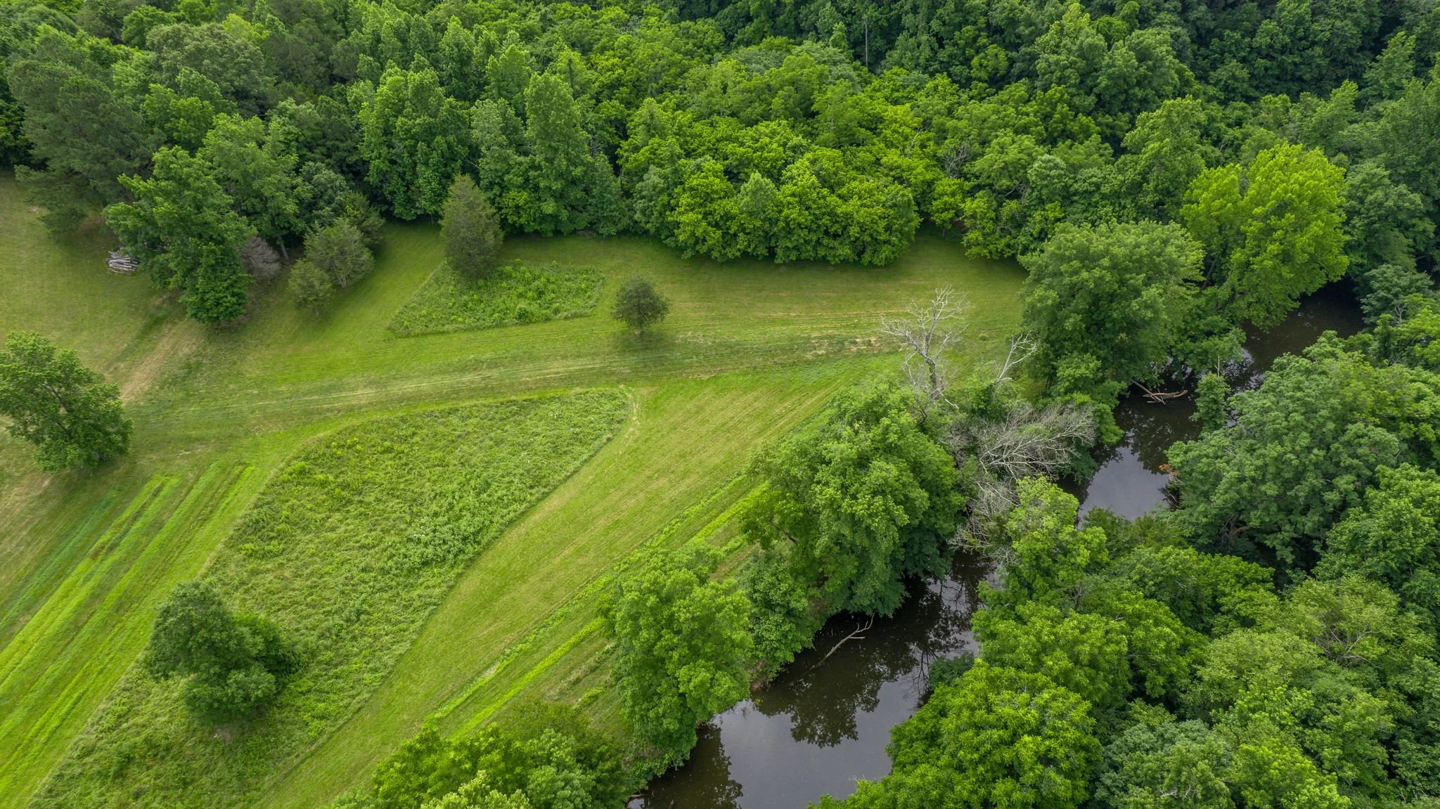 Aerial view of a green landscape with a river flowing through dense trees and open grassy fields.