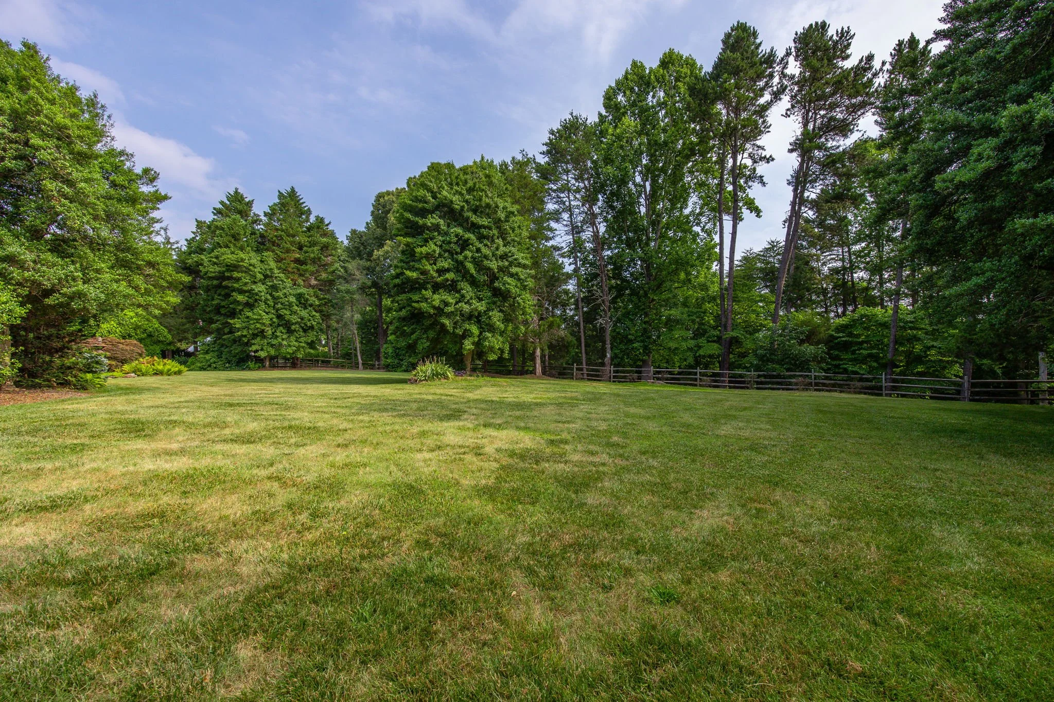 A grassy lawn with a background of tall green trees under a partly cloudy sky.