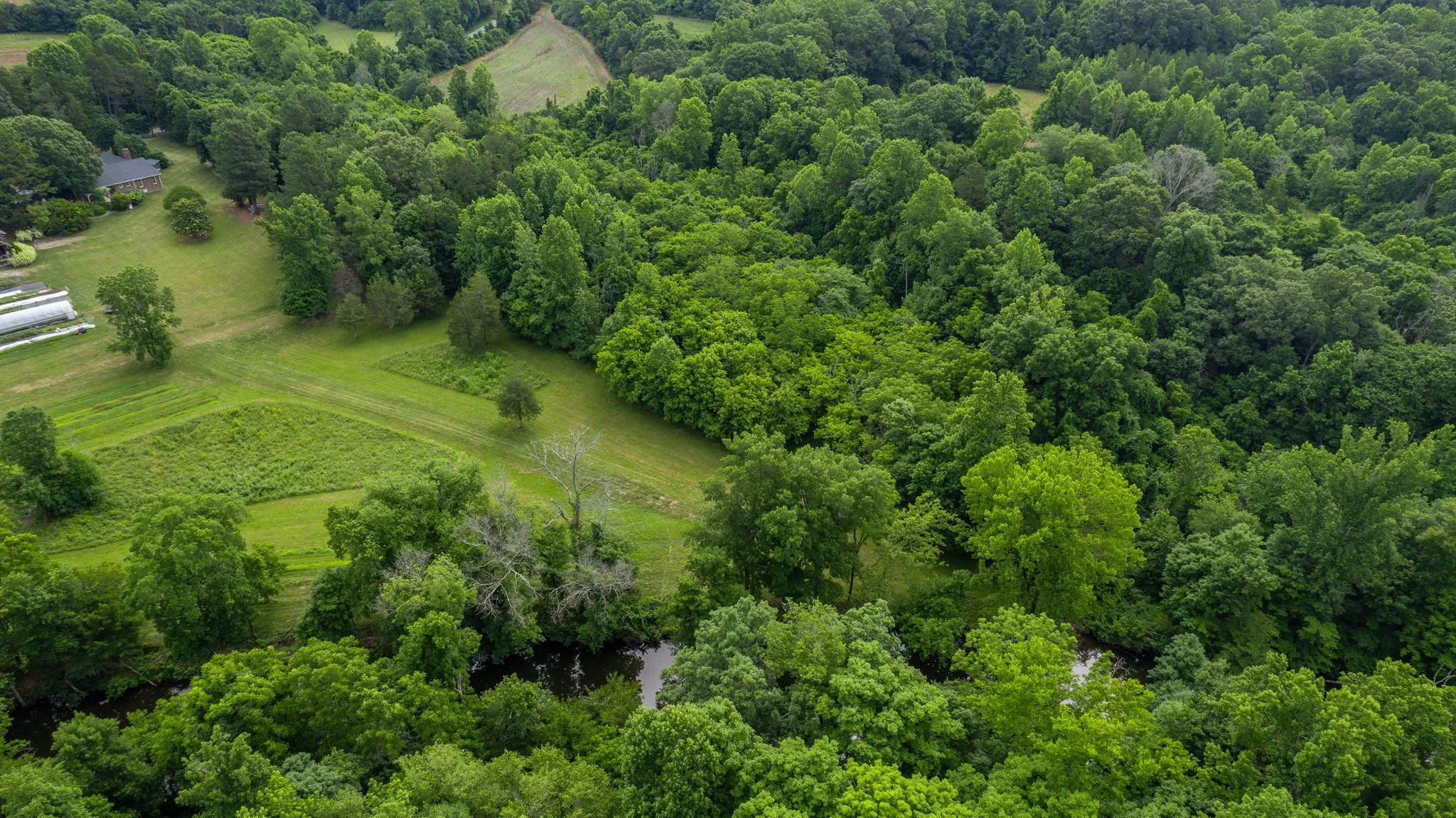 Aerial view of a lush green forest with a river running through it, alongside a rural property with a house and lawn, seen from above.