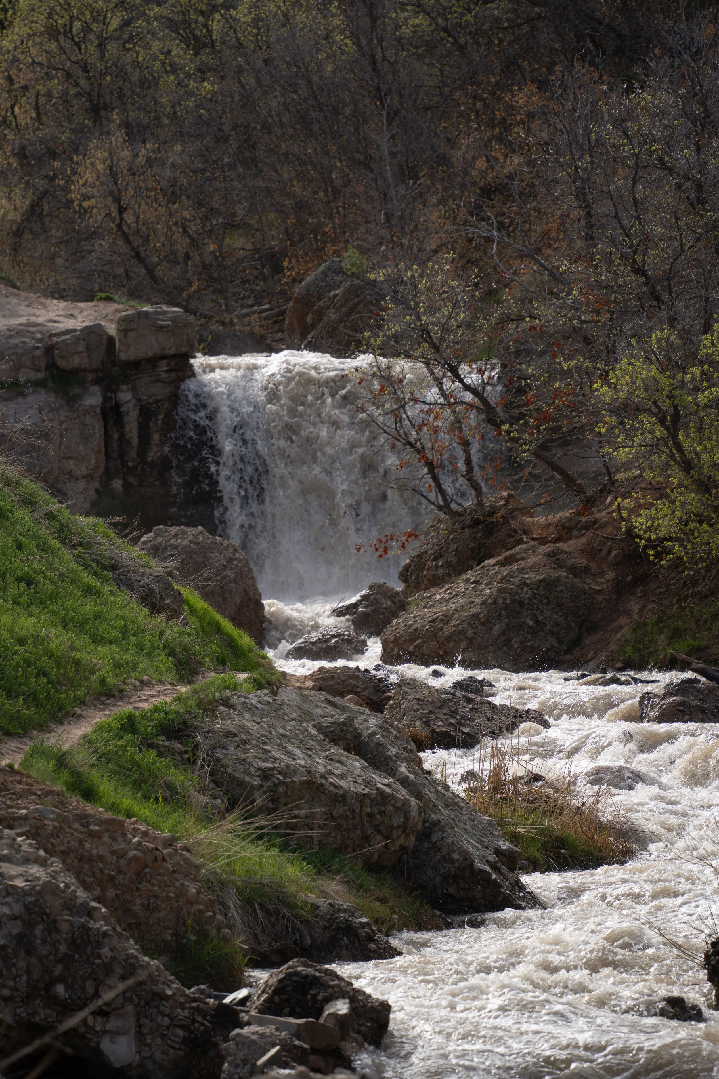 A waterfall cascading over rocks in a forested area with trees showing early signs of spring foliage.