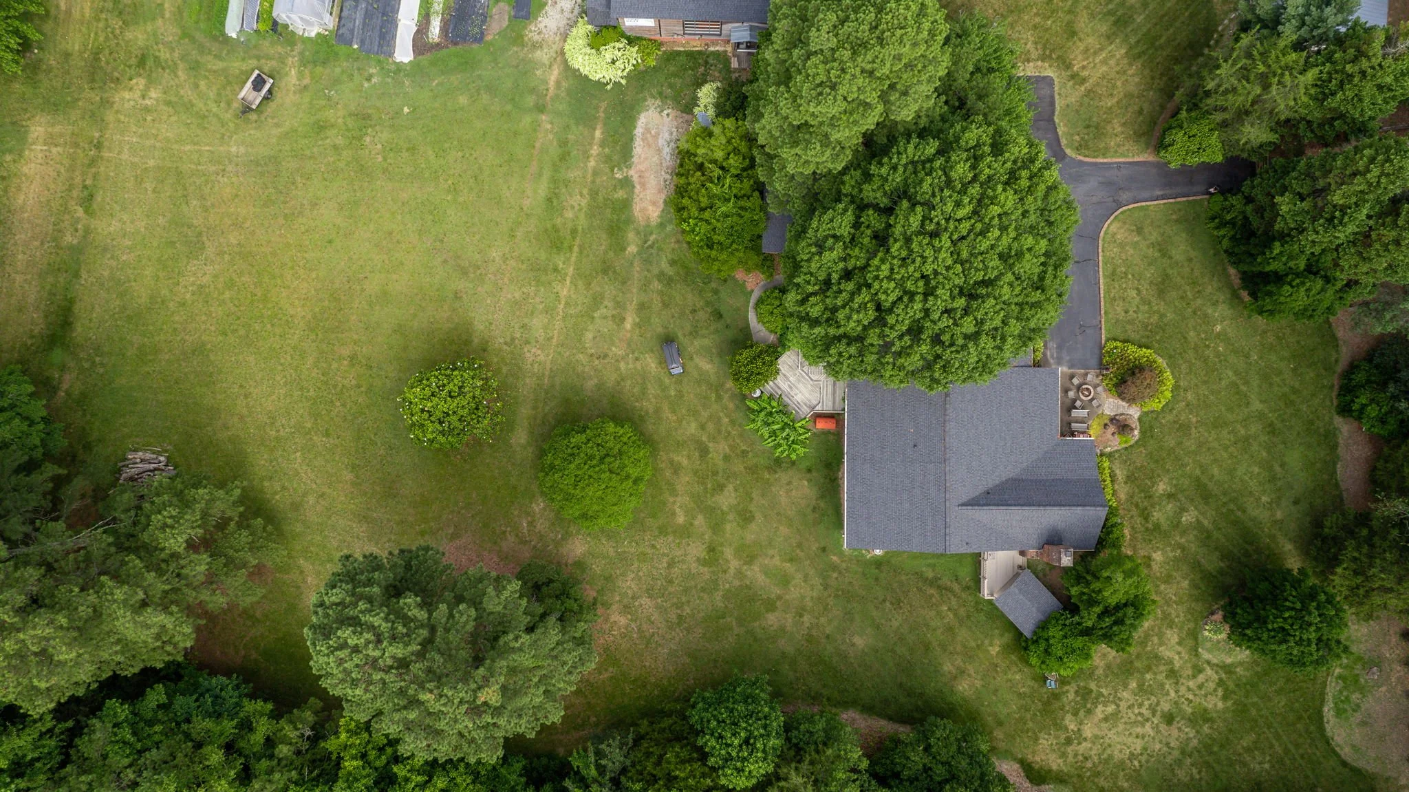 An aerial view of a residential backyard with a large lawn, trees, a driveway, and a house with a gray roof.