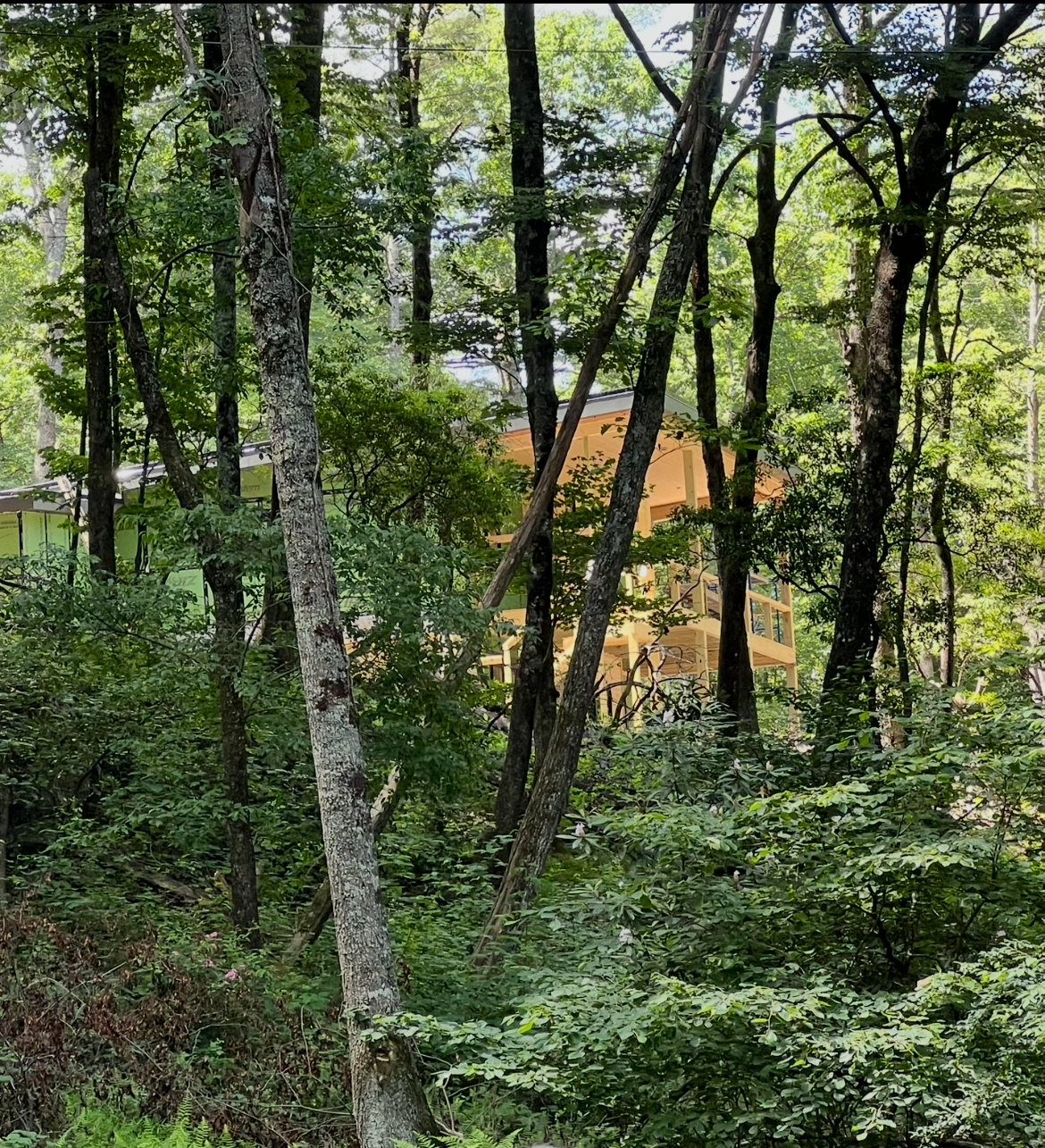 A house under construction or renovation among tall trees and dense green foliage in a forested area.