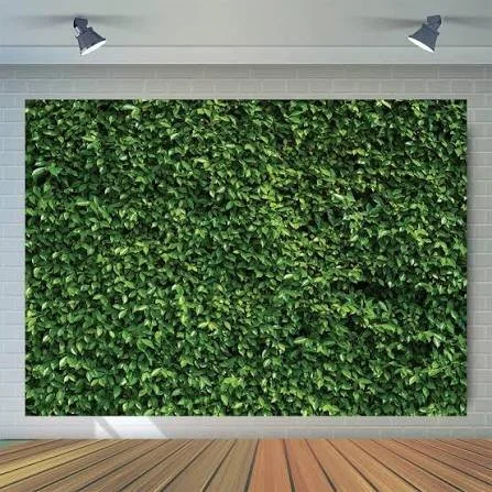 Greenery Wall Rental