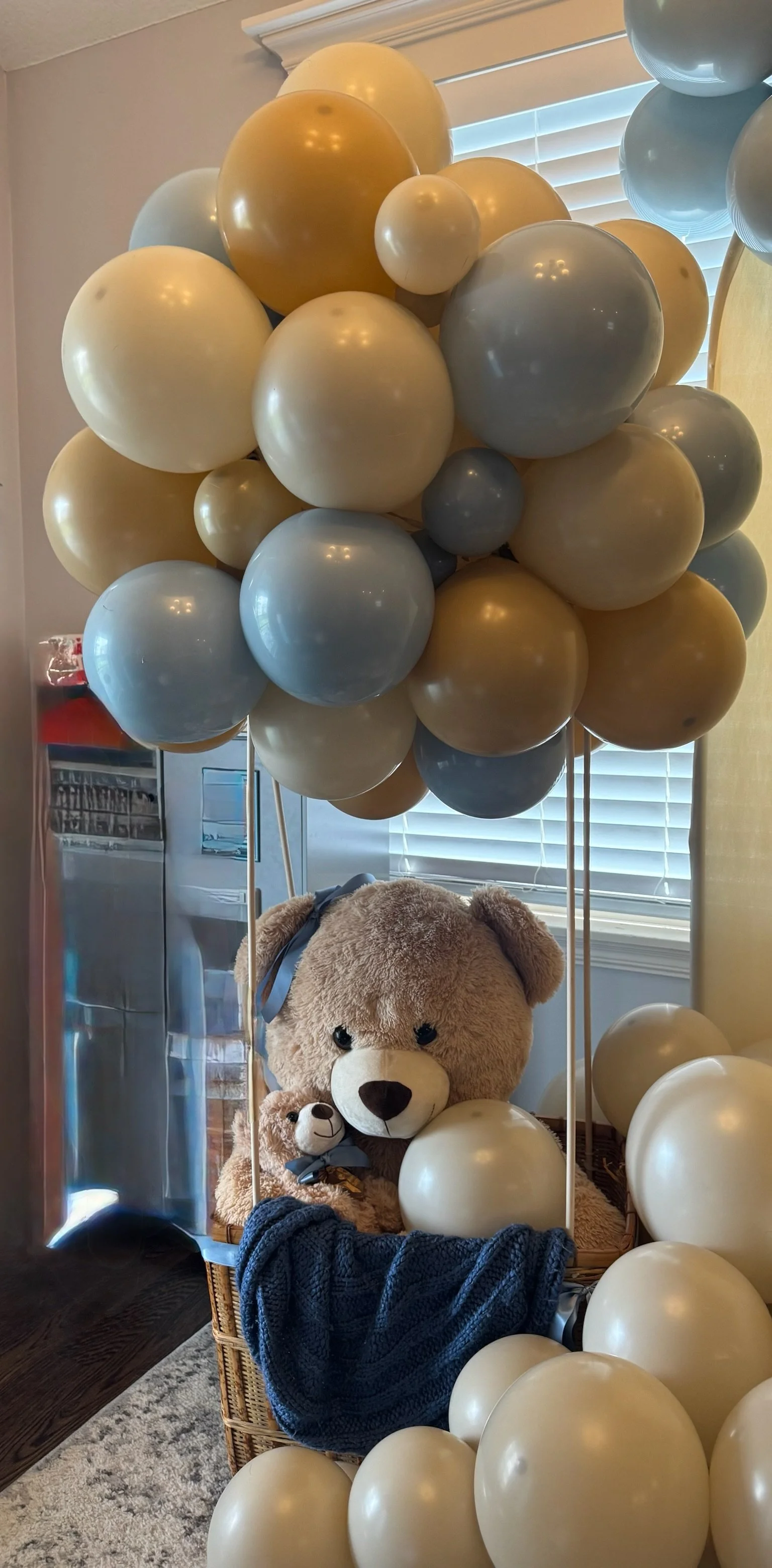 Teddy Bear Hot Air Balloon Basket