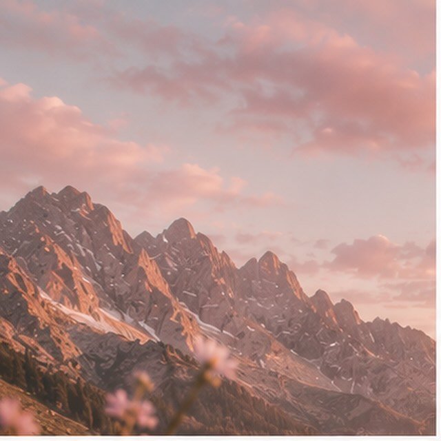 Welcome to Pink Pine Social Club. 🌲🎀