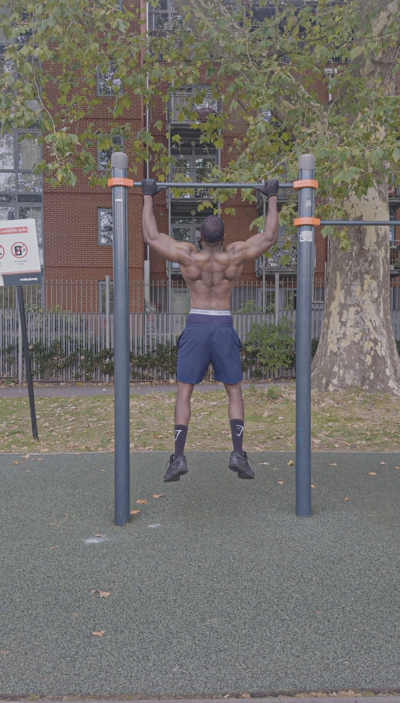 8 Week Back Builder
