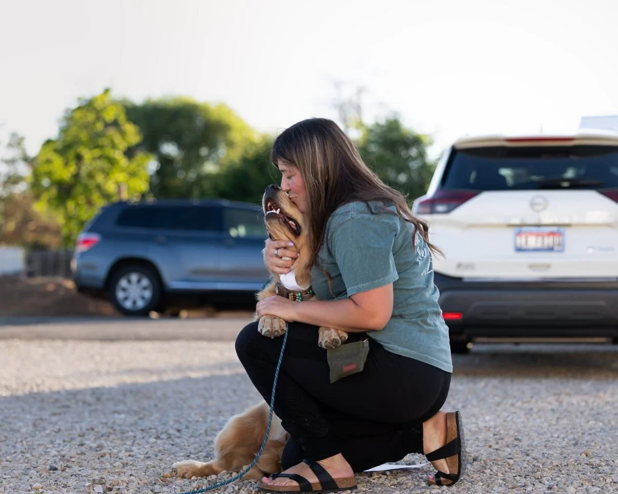 A woman crouching on a gravel surface, kissing and hugging a puppy, with cars and trees in the background.