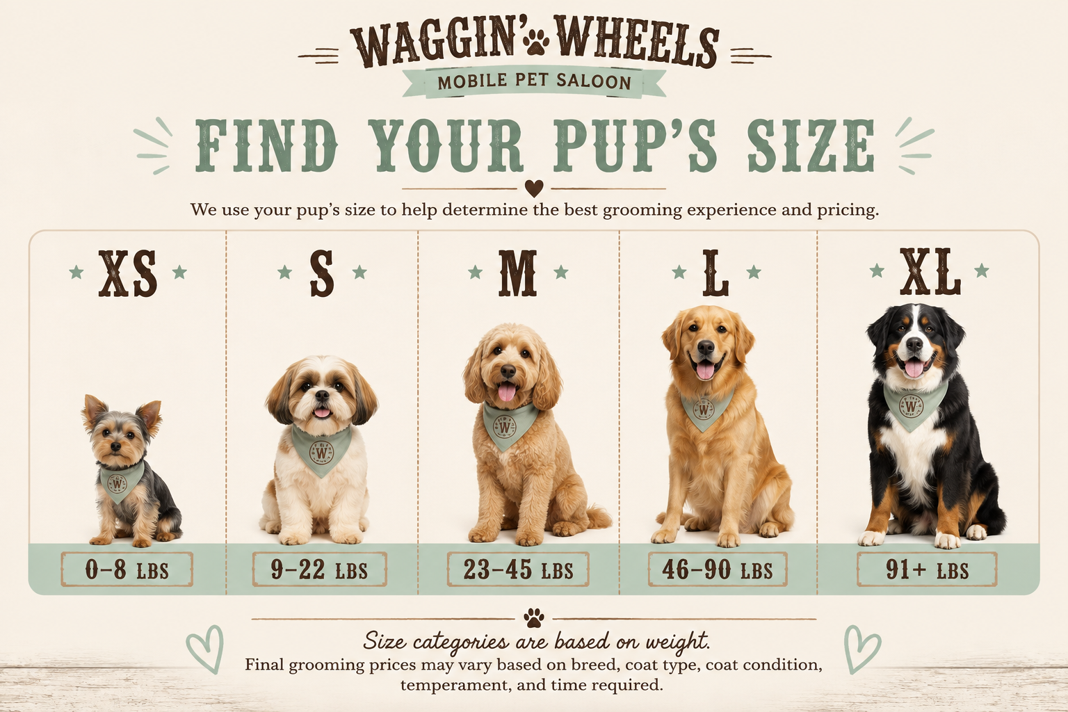 Guide showing size categories for dogs based on weight, from XS (0-8 lbs) to XL (91+ lbs), with pictures of each size and corresponding weight ranges.