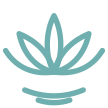 Open lotus icon representing postpartum recovery physical therapy