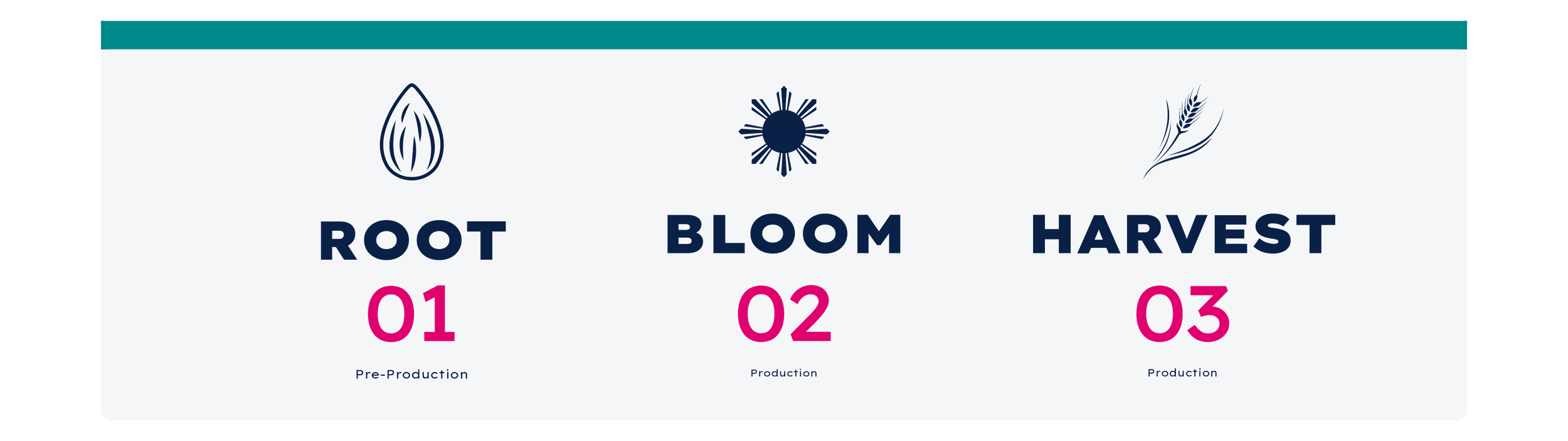 Flow chart illustrating three stages: Root, Bloom, Harvest, each with a corresponding number and icon. The Root stage has a droplet icon, Bloom has a sun icon, and Harvest has a wheat icon.