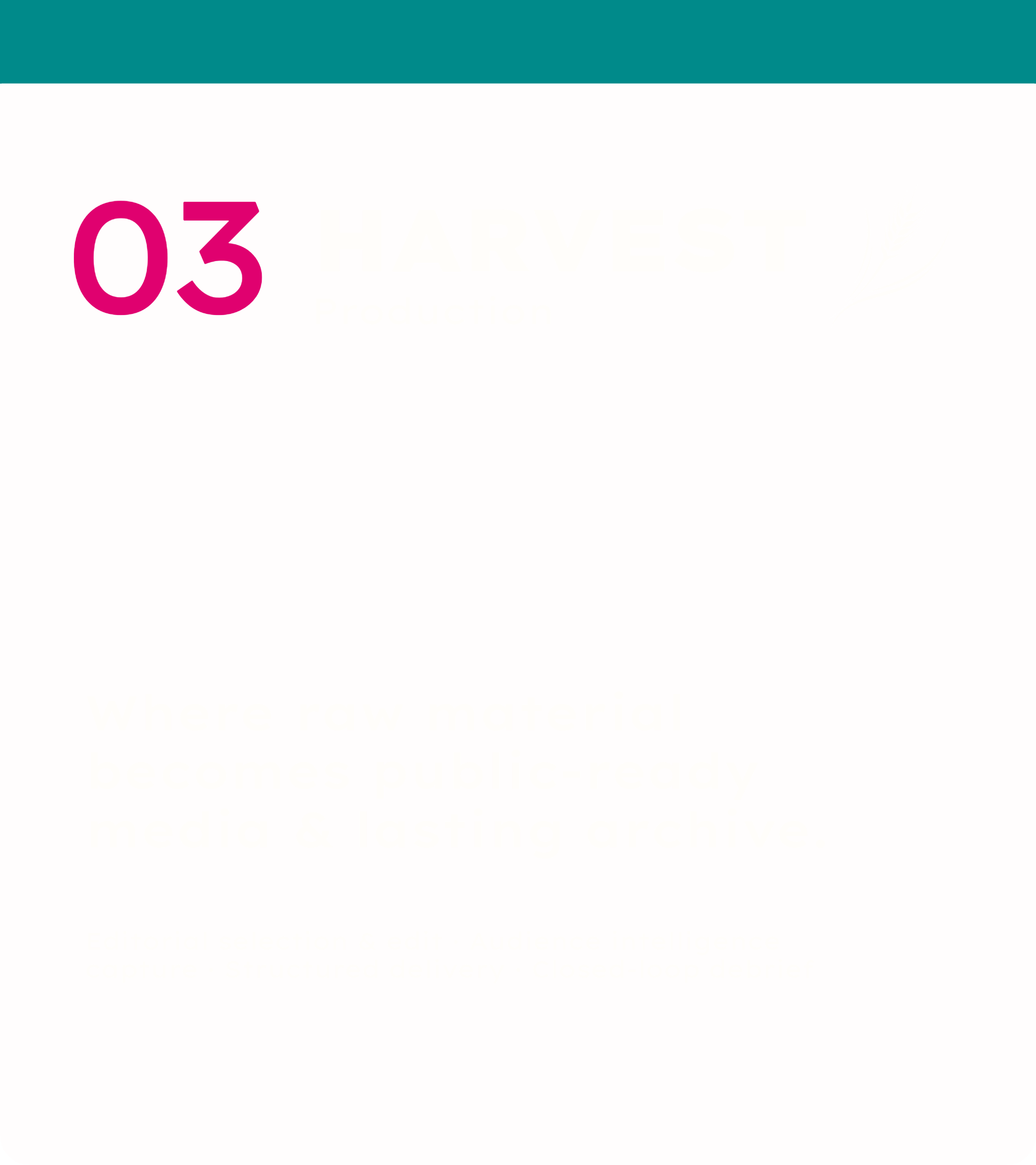 Cover page of a publication titled 'Harvest'. The page features a large pink number '03' and a subtle background illustration of a wheat stalk on a light pink background.