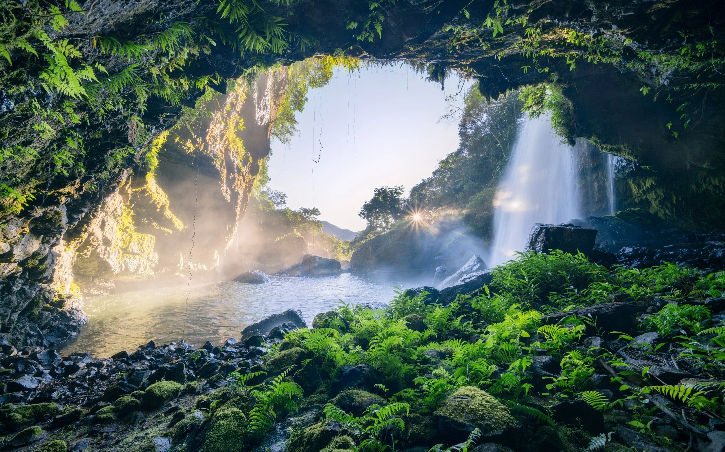 Window to Dawn - Wooroonooran national Park 2025 