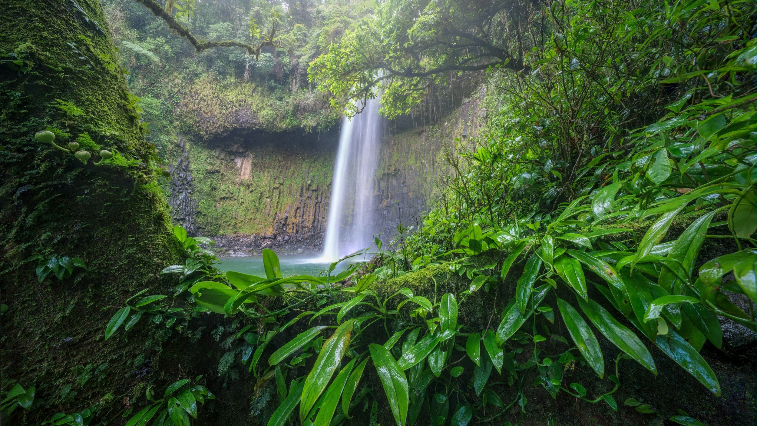 Into the Wild - Wooroonooran national Park 2025