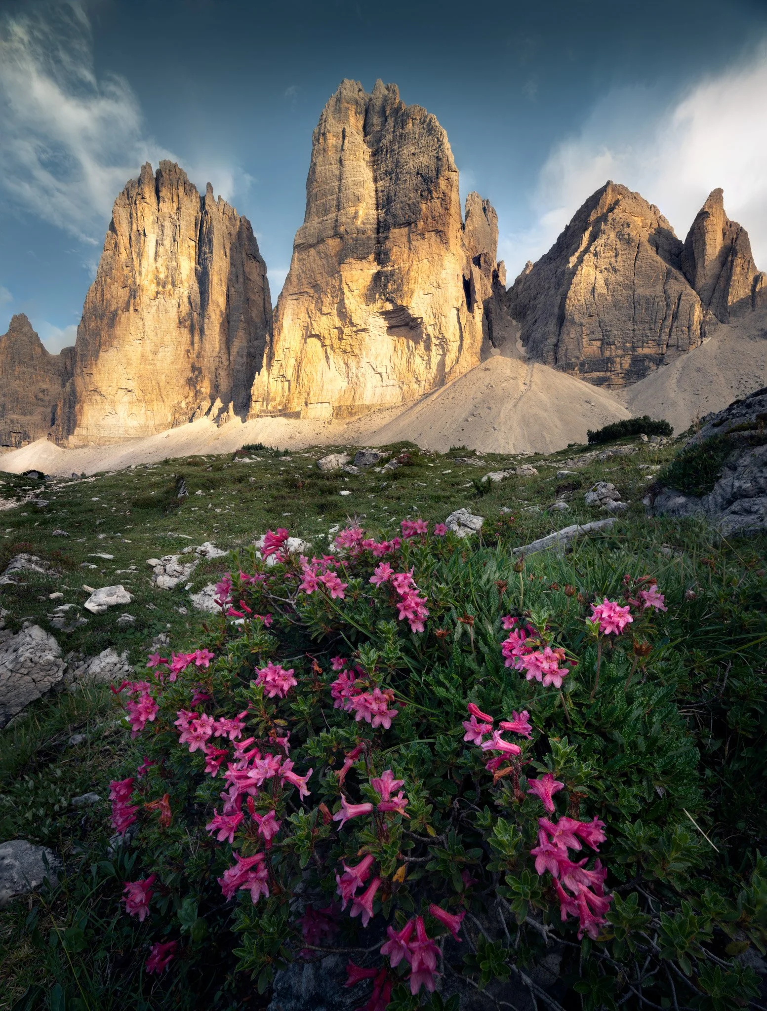 Tre Cime bloom - Italy 2024
